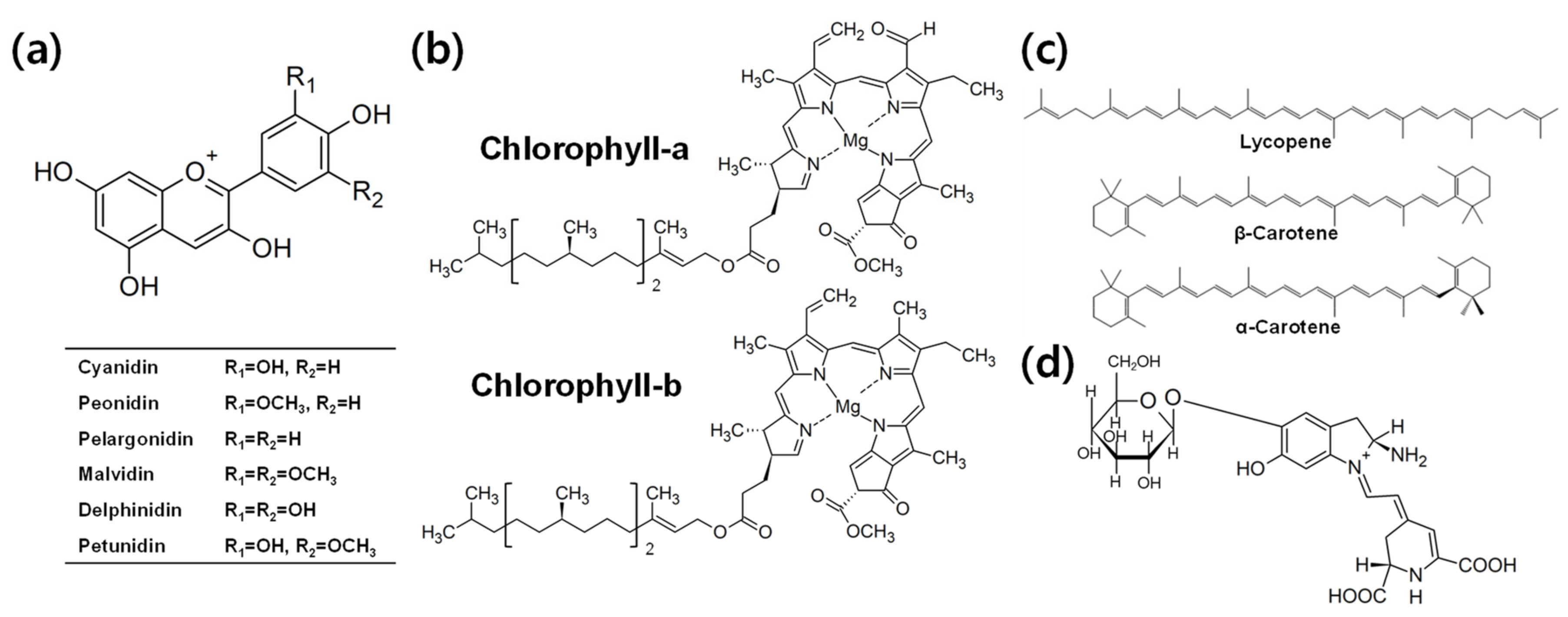 Energies 15 00219 g001