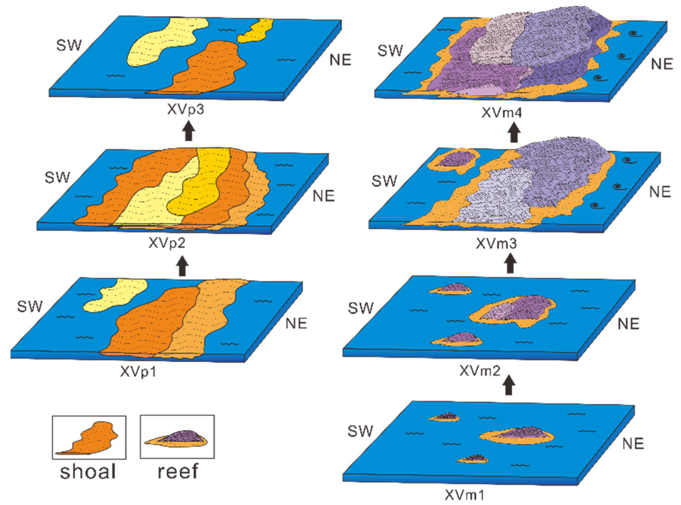 Energies | Free Full-Text | Carbonate Platform Reef-Shoal Reservoir ...