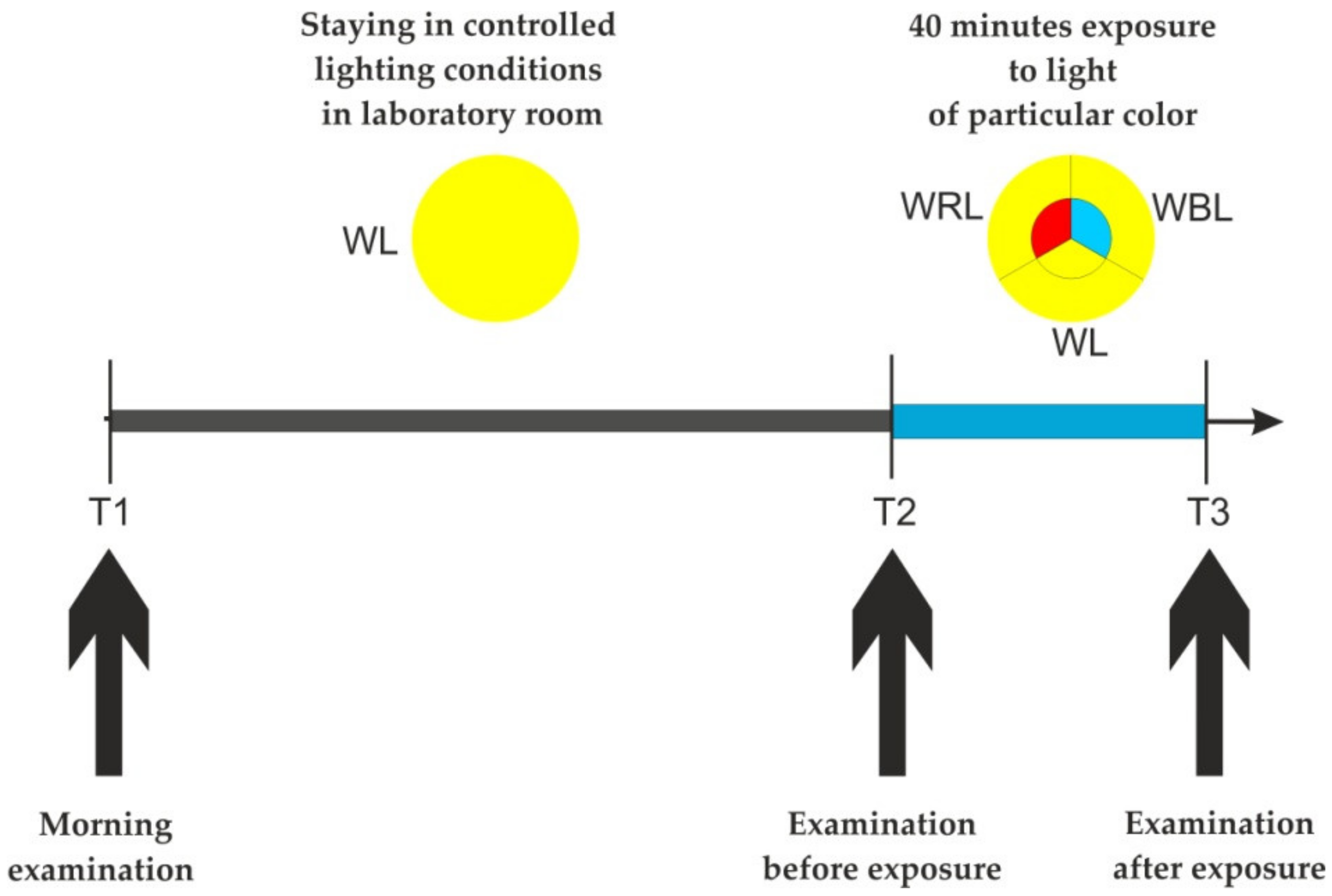 Energies 15 00350 g003 550