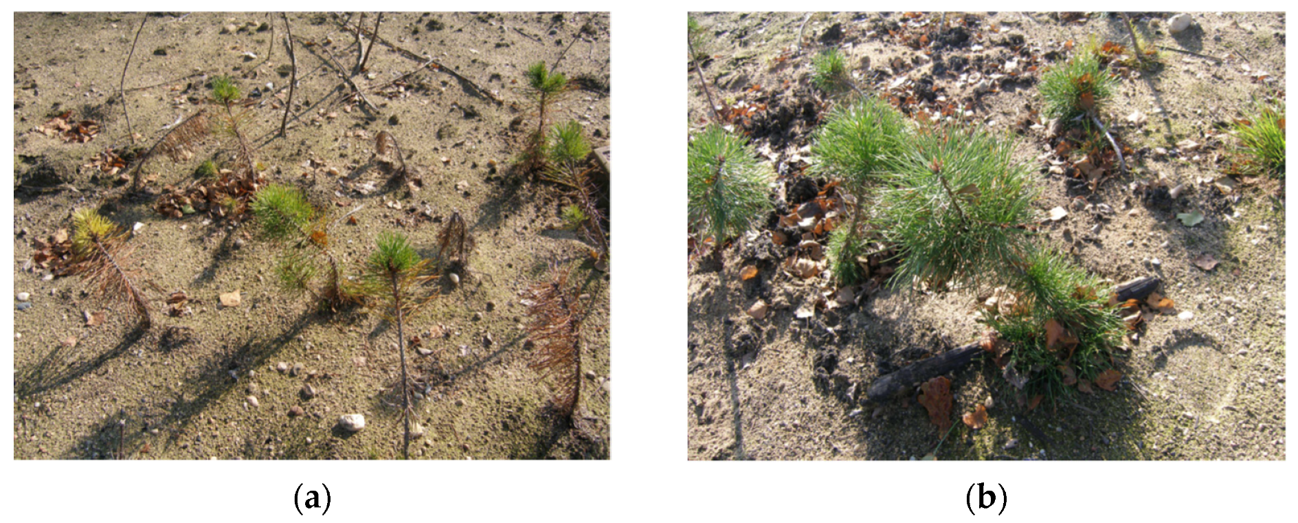 Energies 15 00385 g007 550