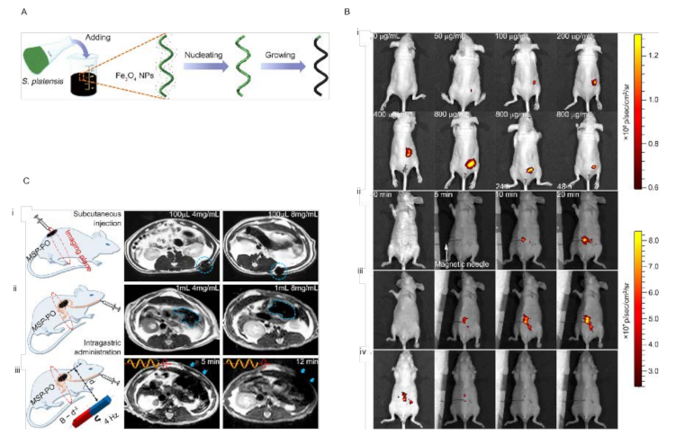 Energies 15 00426 g005 550
