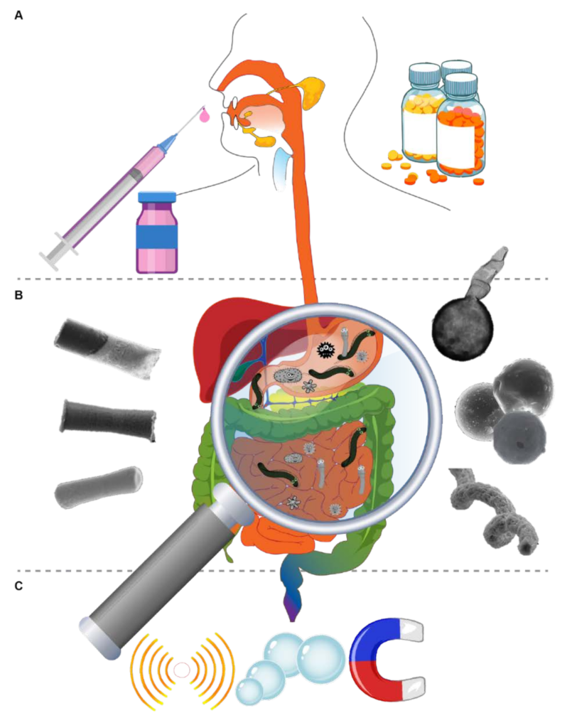 Energies 15 00426 sch001 550