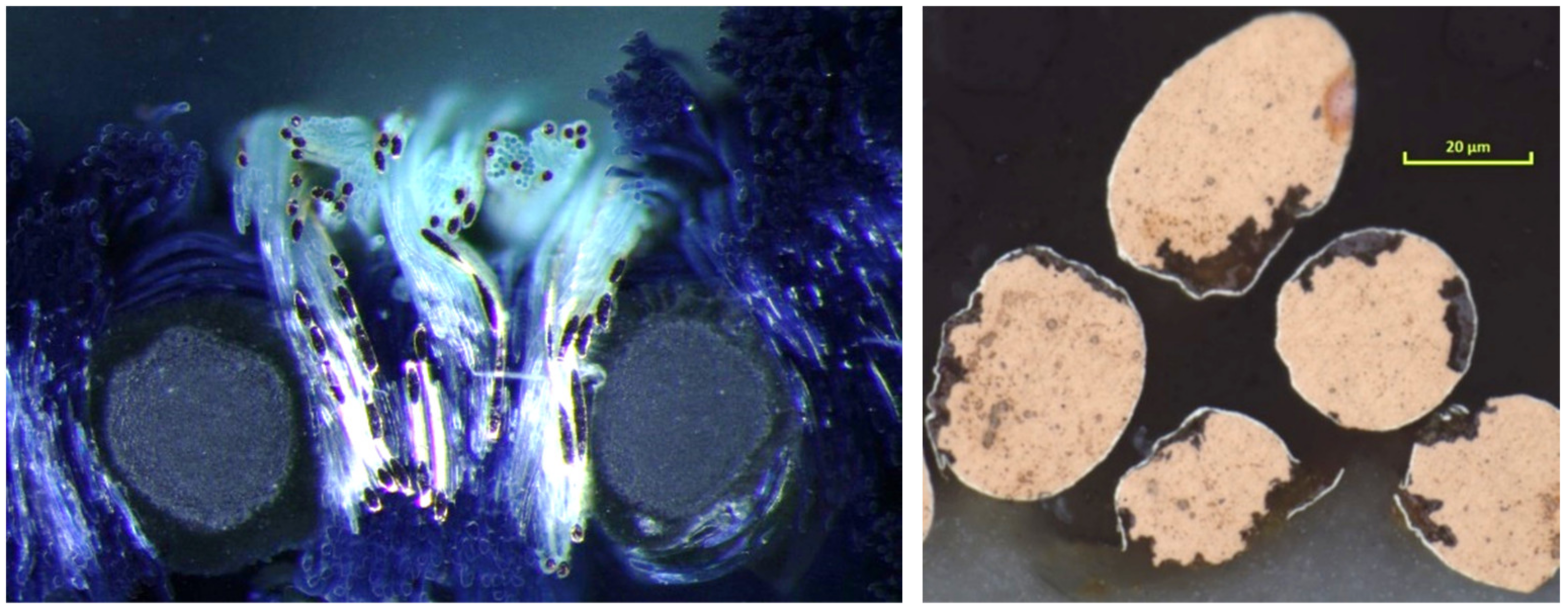 Energies 15 00506 g011