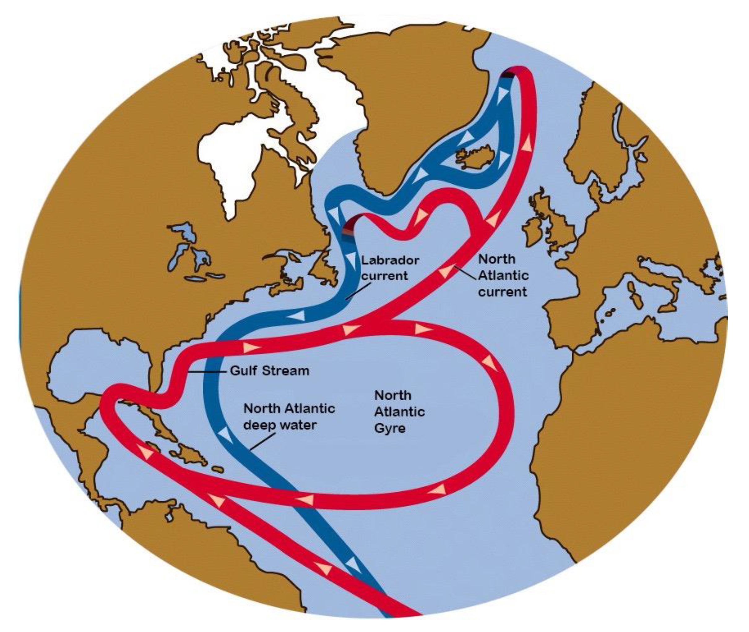 Направление течений атлантического. Течение Гольфстрим на карте. Гольфстрим на карте Атлантического океана. Тёплое течение Гольфстрим.