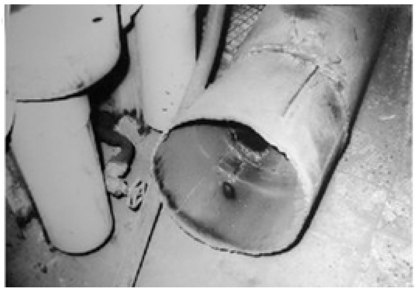 Energies 15 00899 g021 550