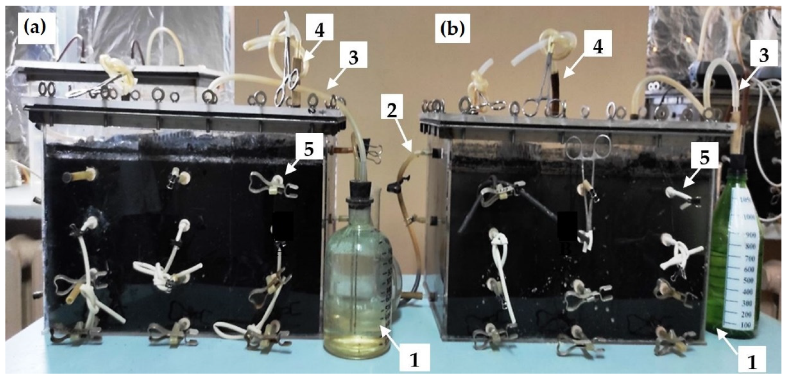 Energies 15 00911 g002