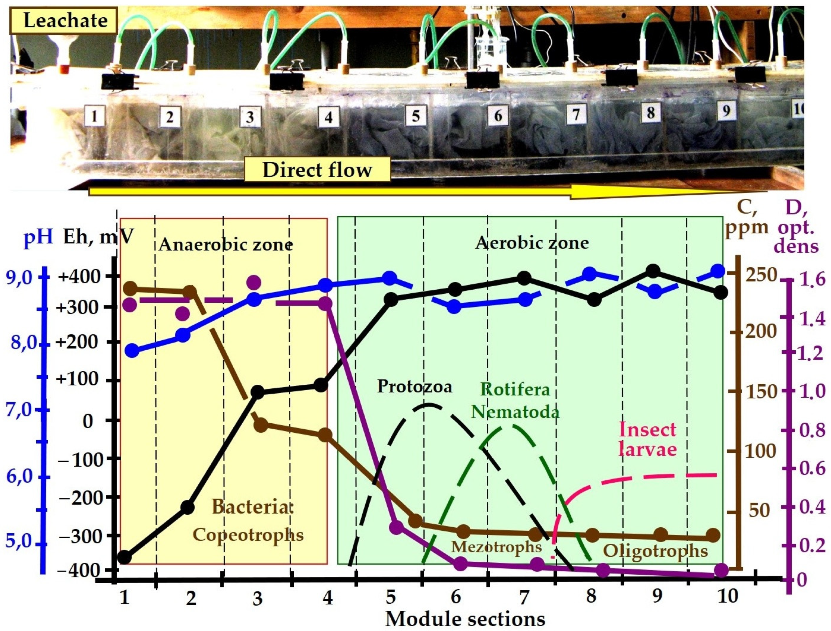 Energies 15 00911 g005