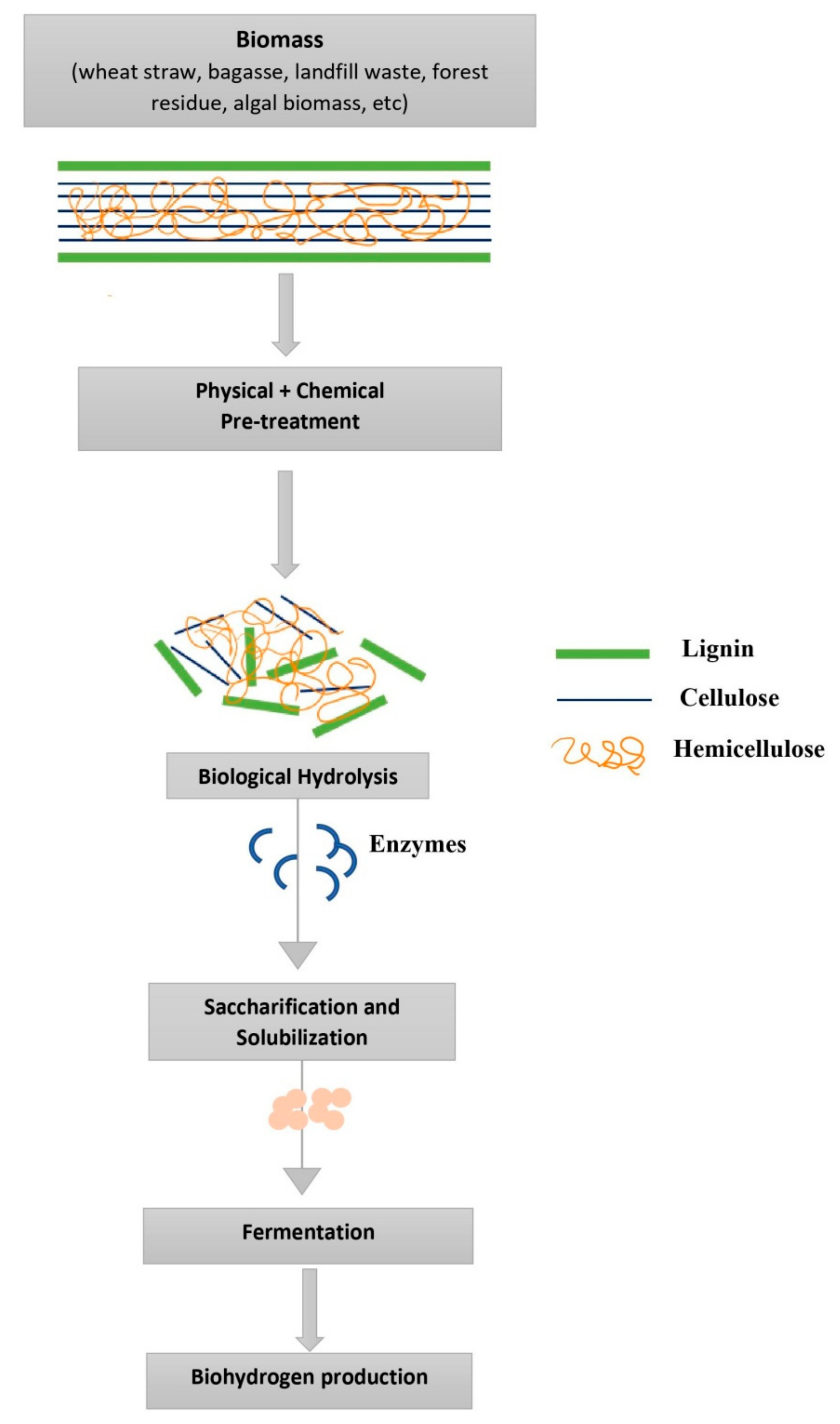 Energies 15 00999 g002
