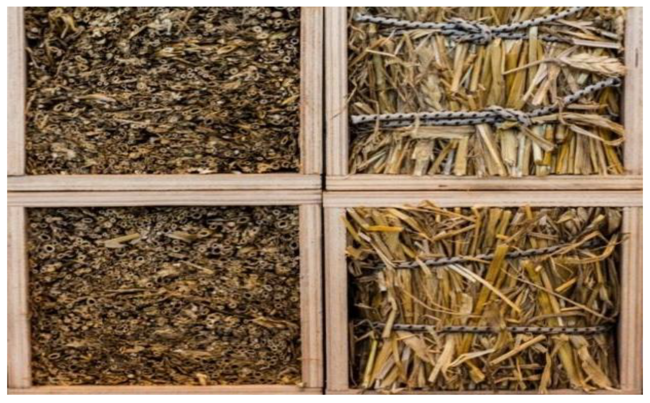 Energies 15 01155 g002