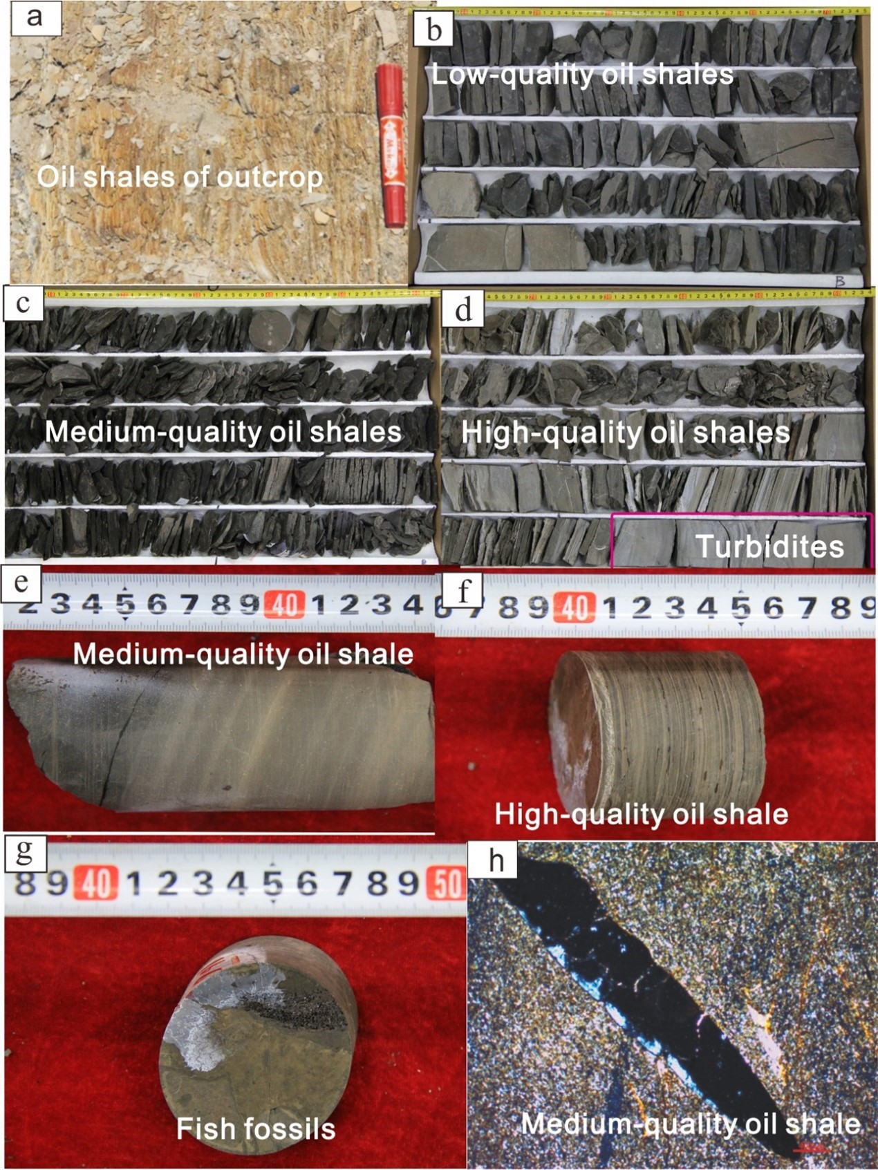 Energies 15 01231 g003