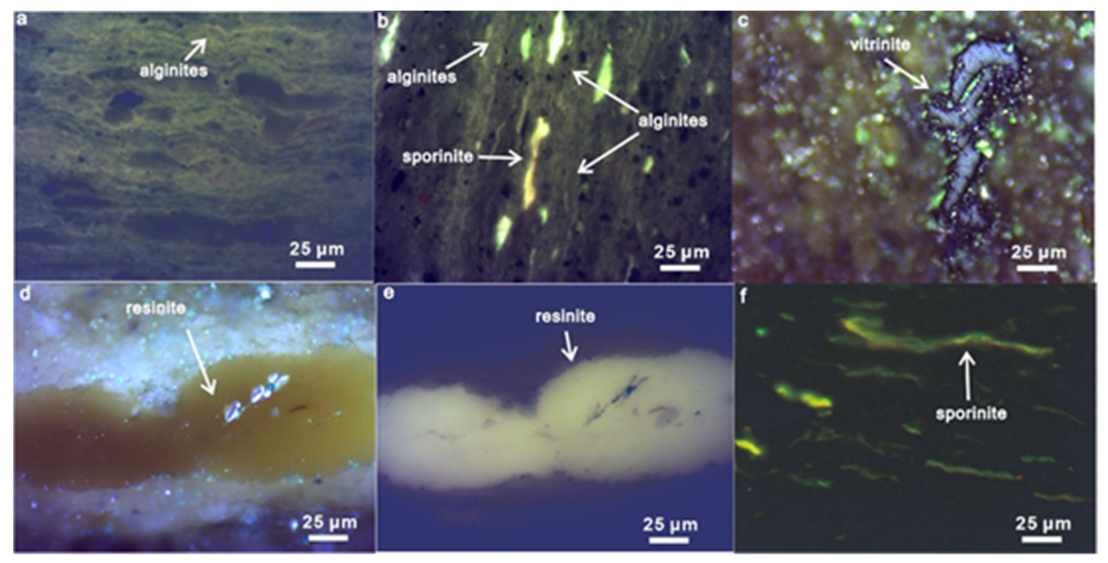 Energies 15 01231 g004