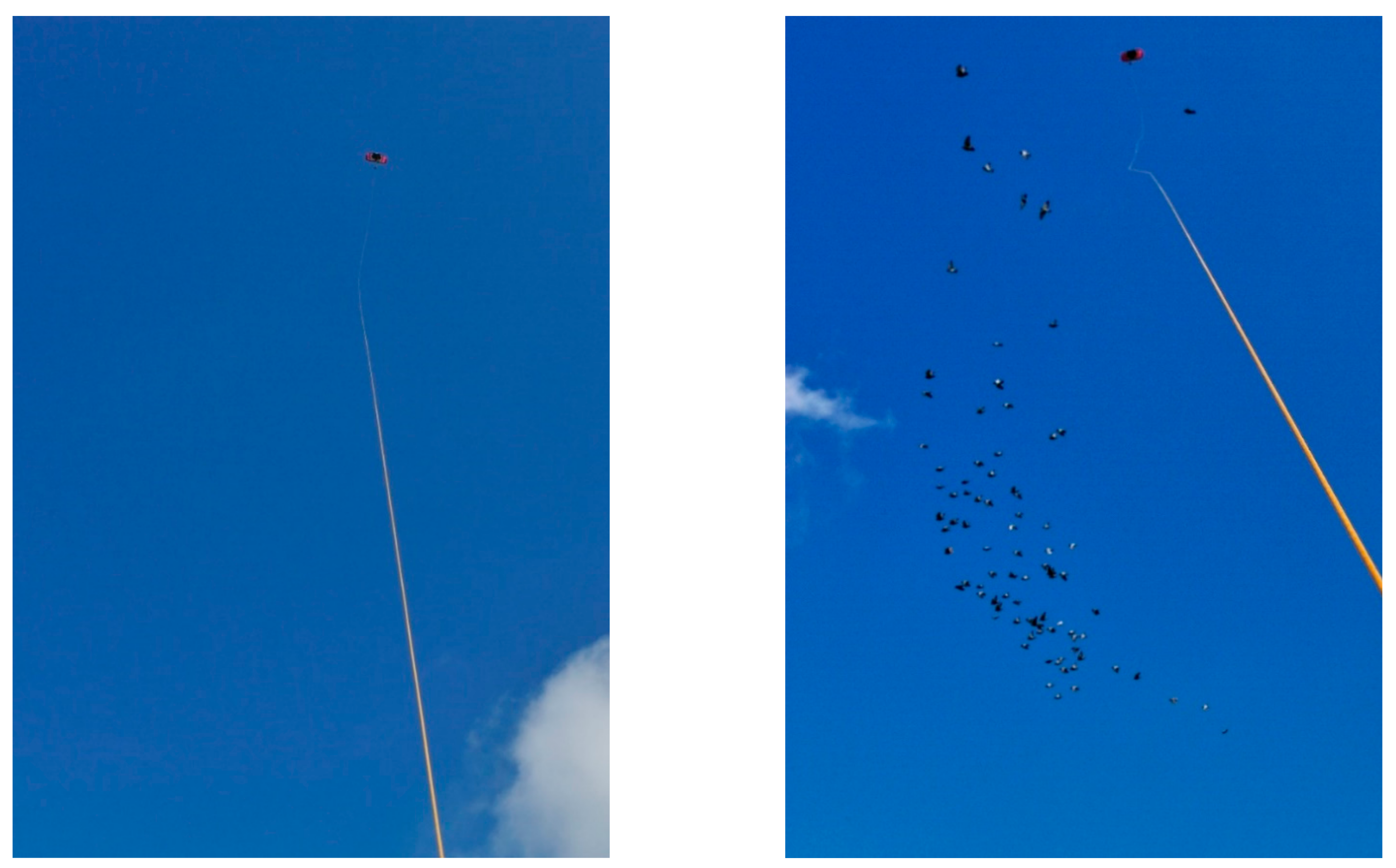 Energies 15 01384 g005