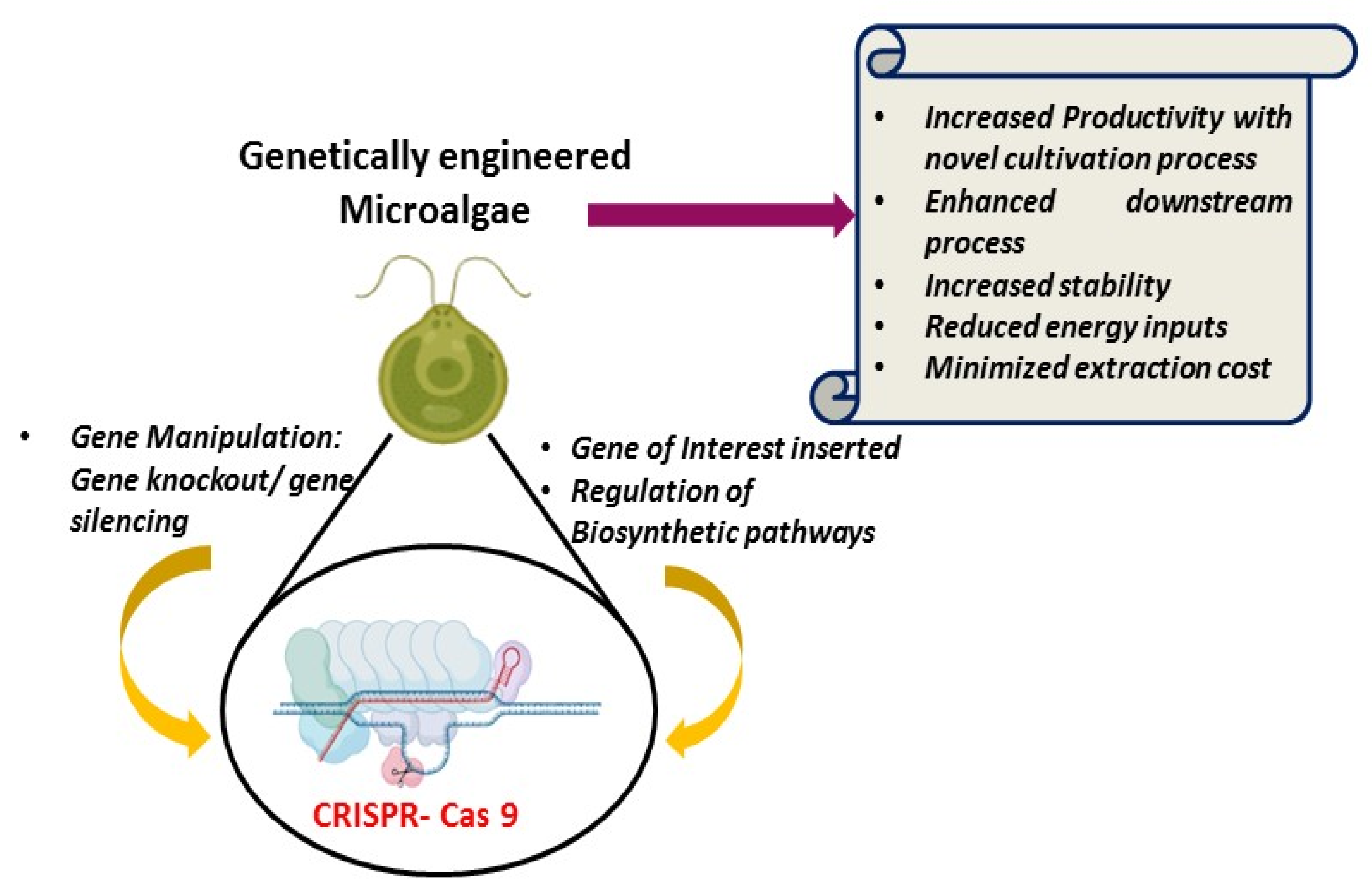 Energies 15 01550 g001 550