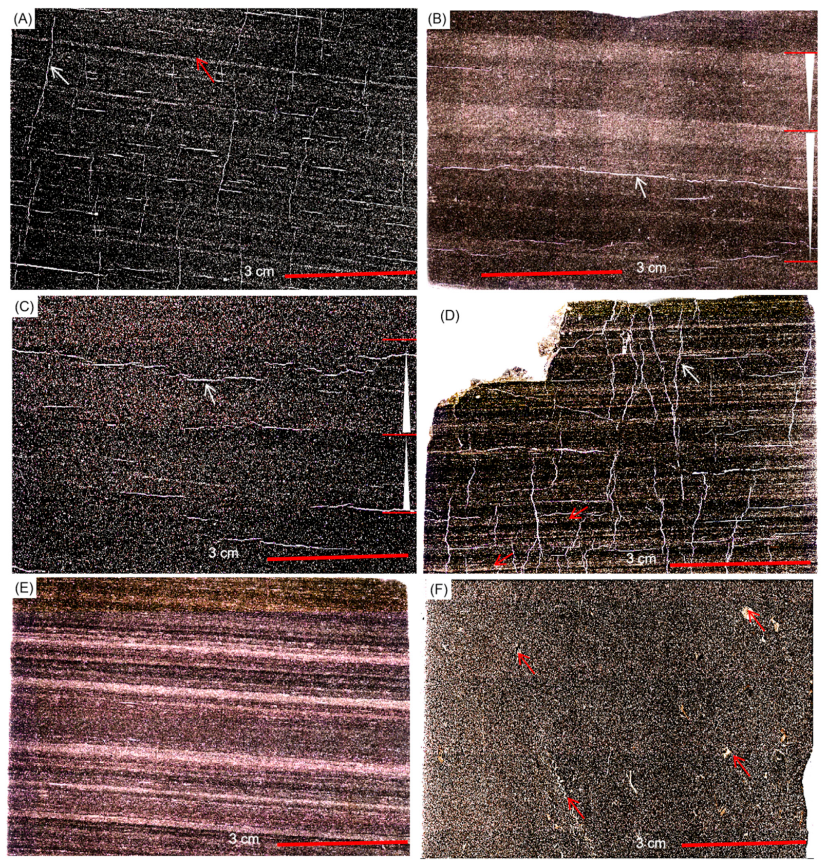 Energies 15 01618 g008