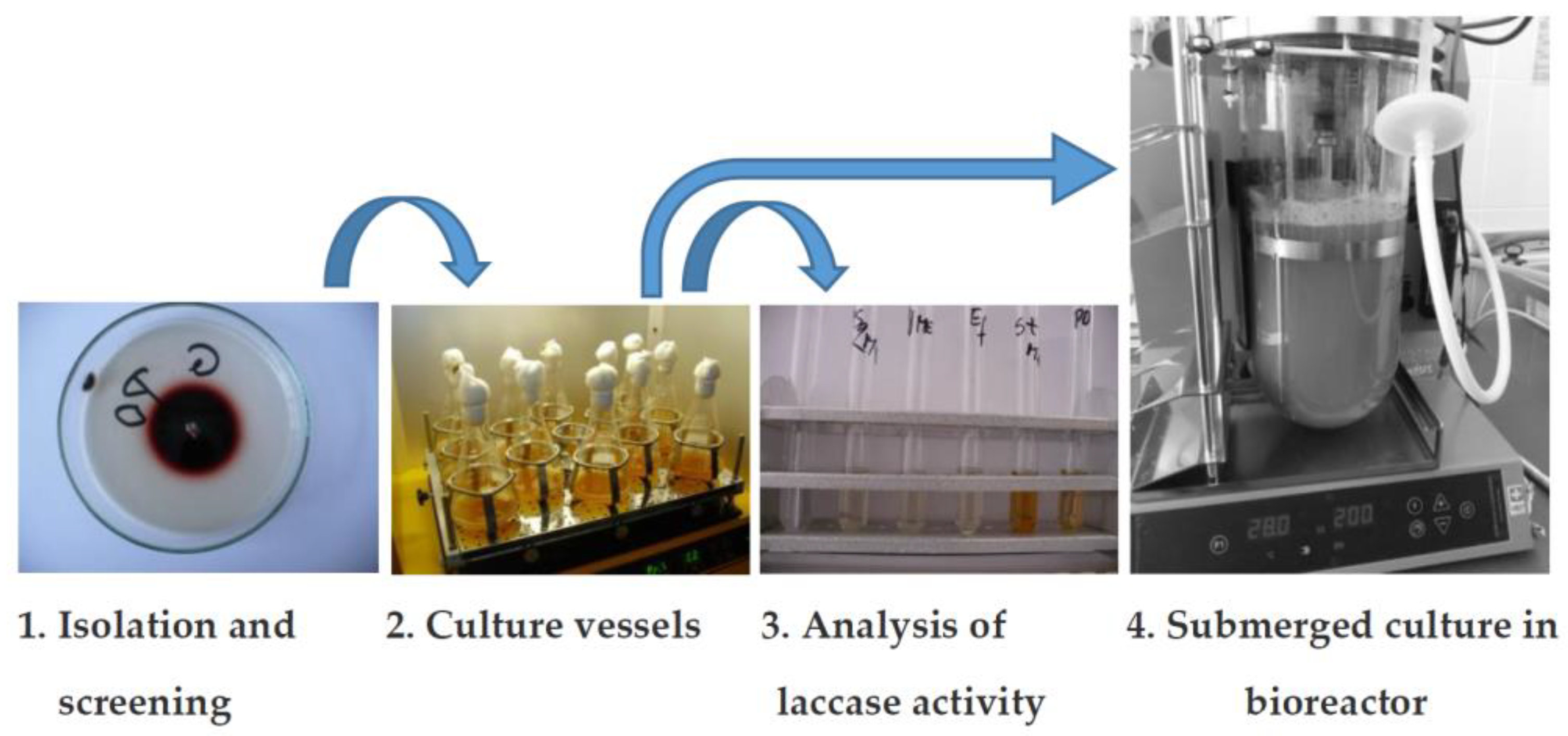 Energies 15 01835 g005 Energies 15 01835 g005