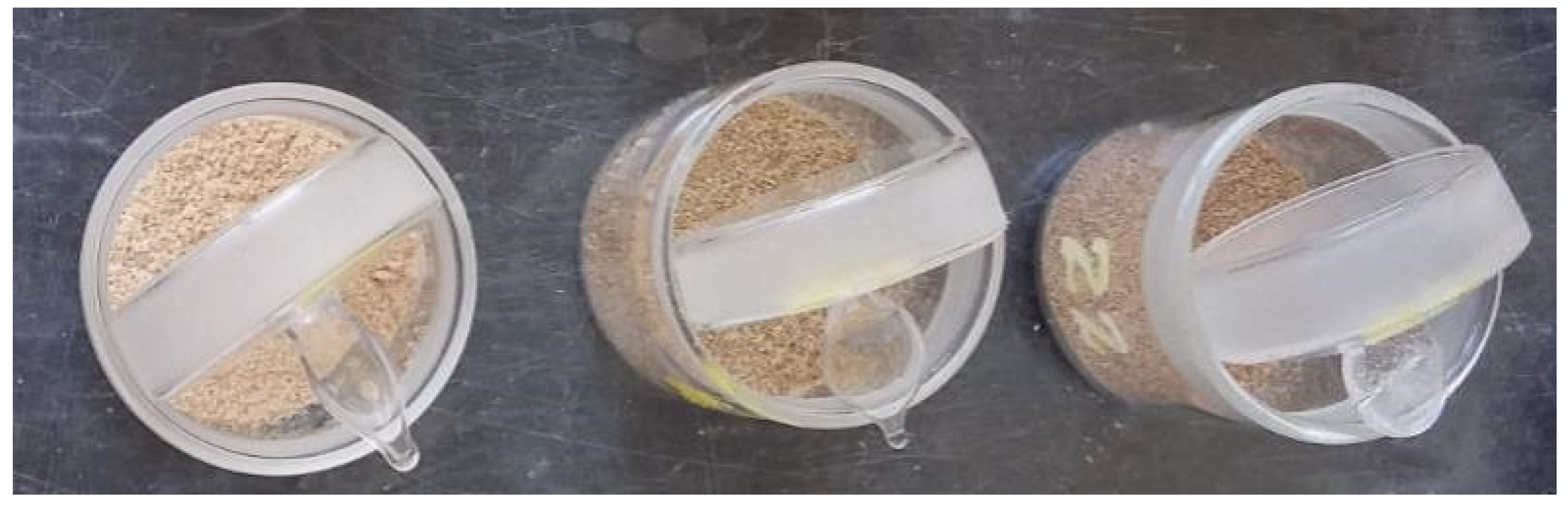 Energies 15 01897 g002