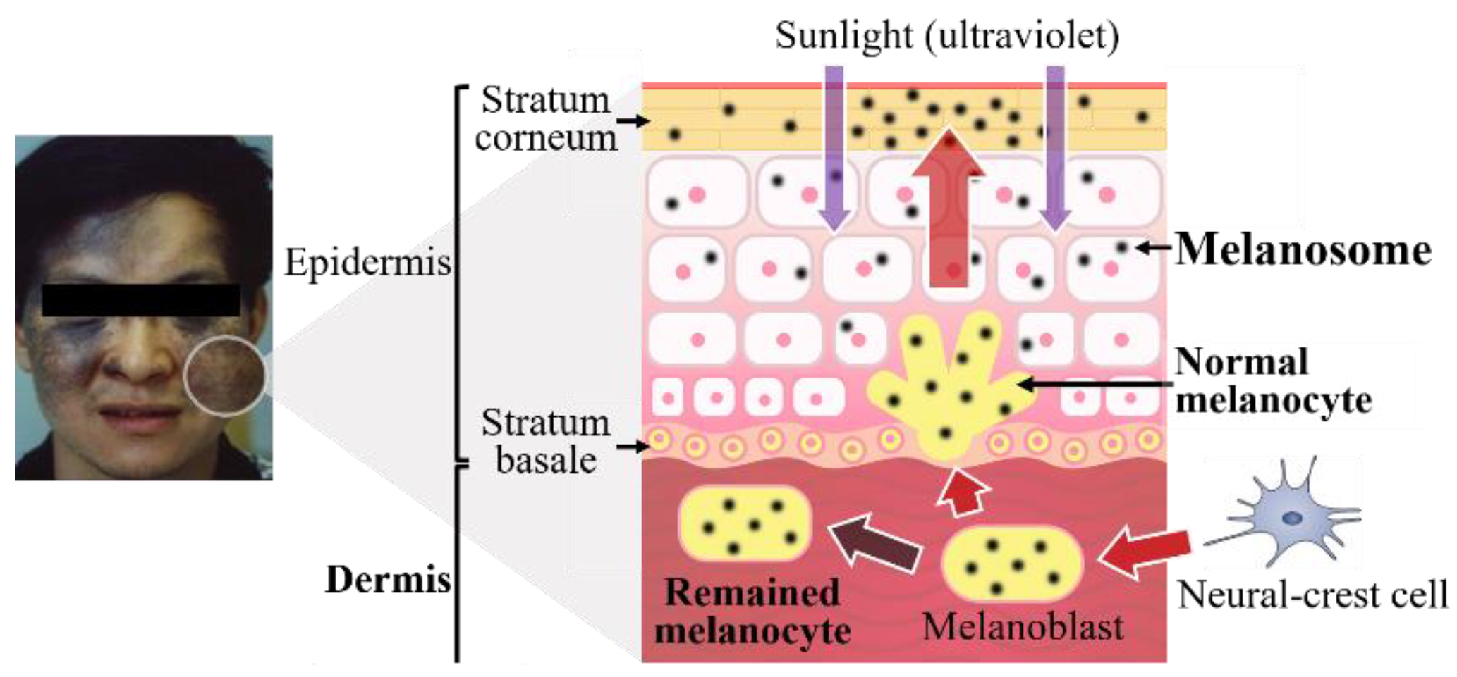 Energies 15 02019 g001