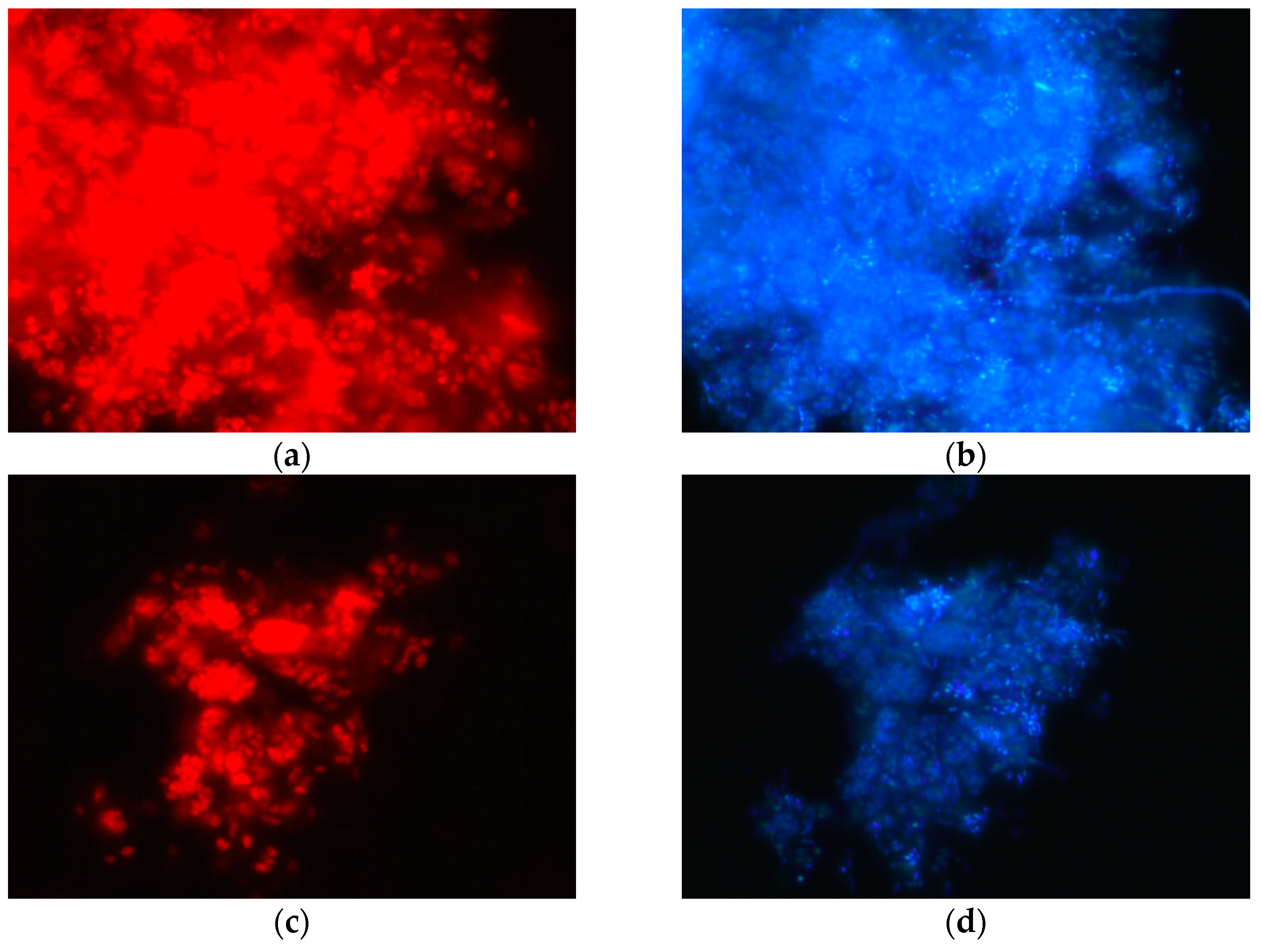 Energies 15 02108 g002