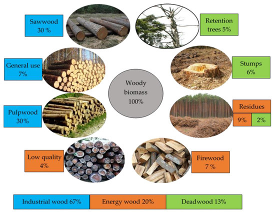 Using Timber as a Renewable Resource for Energy Production in 