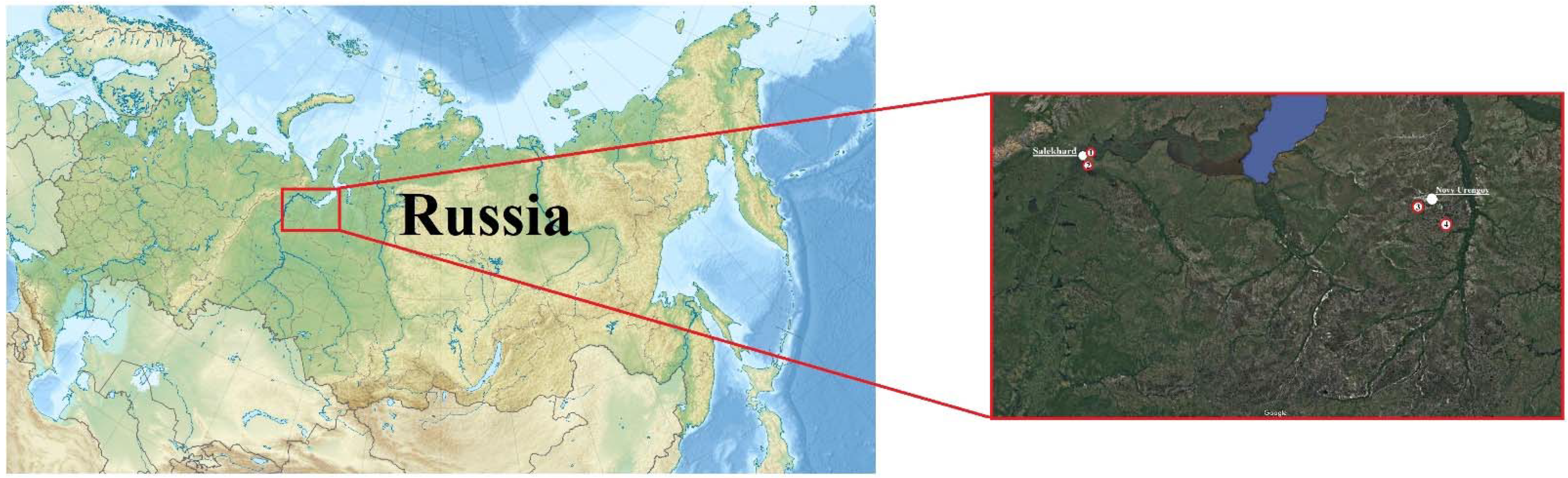 Energies 15 02301 g001 550