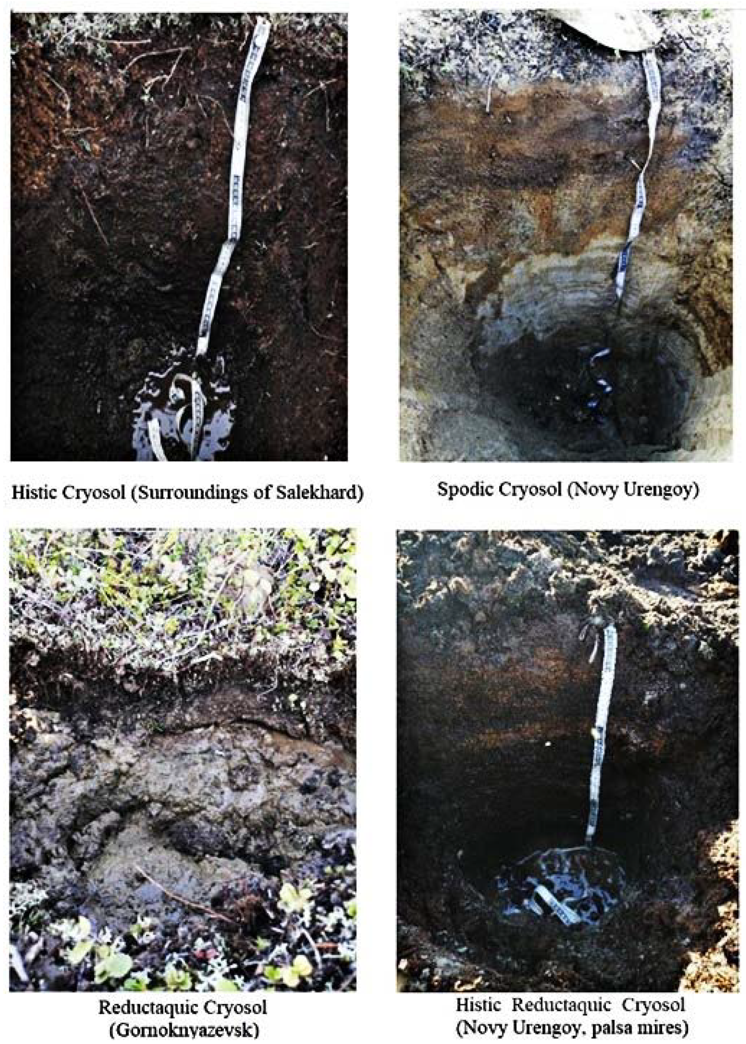 Energies 15 02301 g003 550