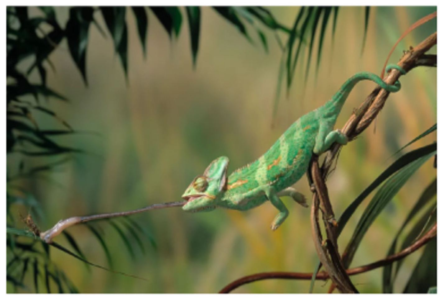 Energies 15 02566 g006