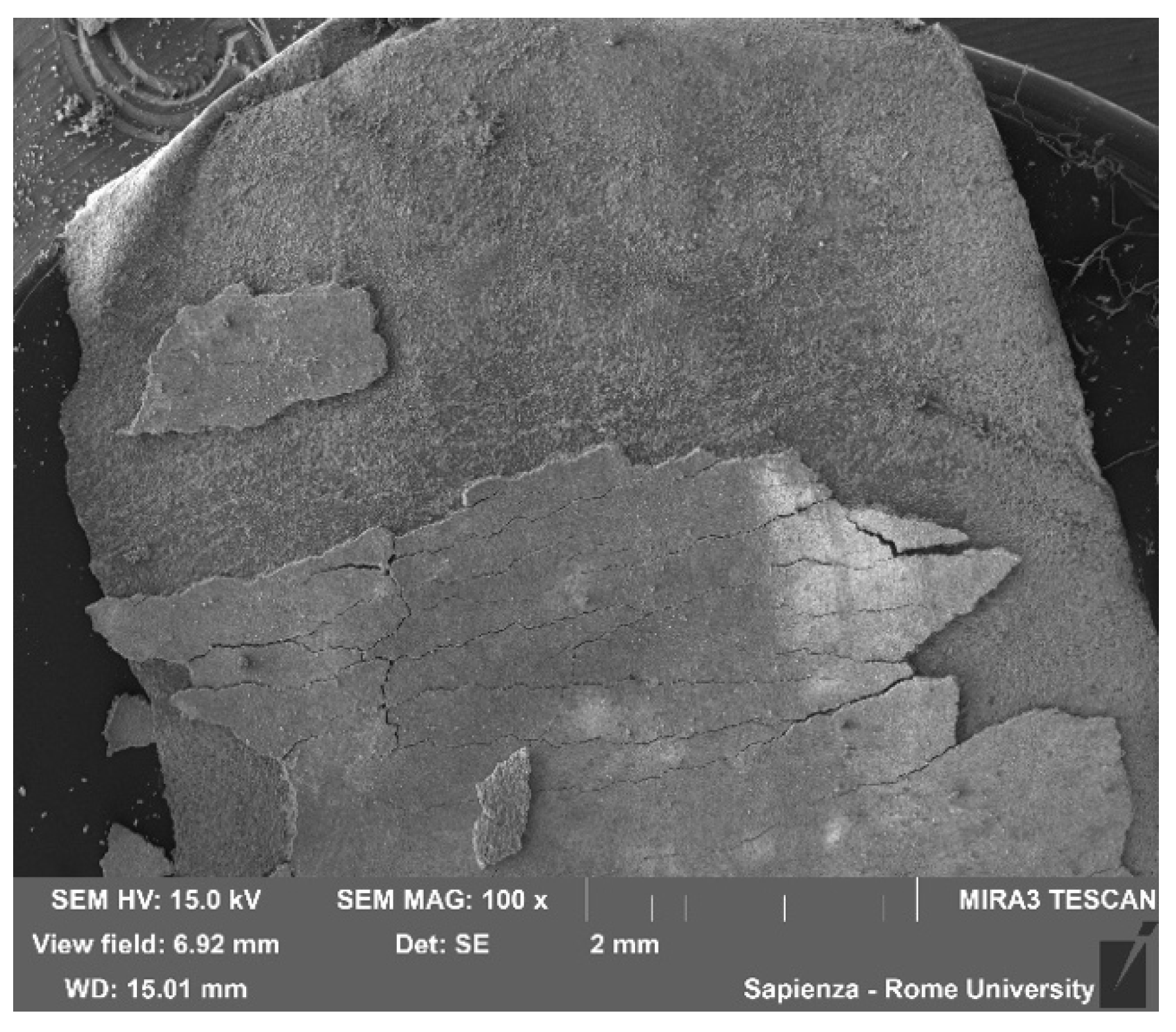 Energies 15 02628 g013 550