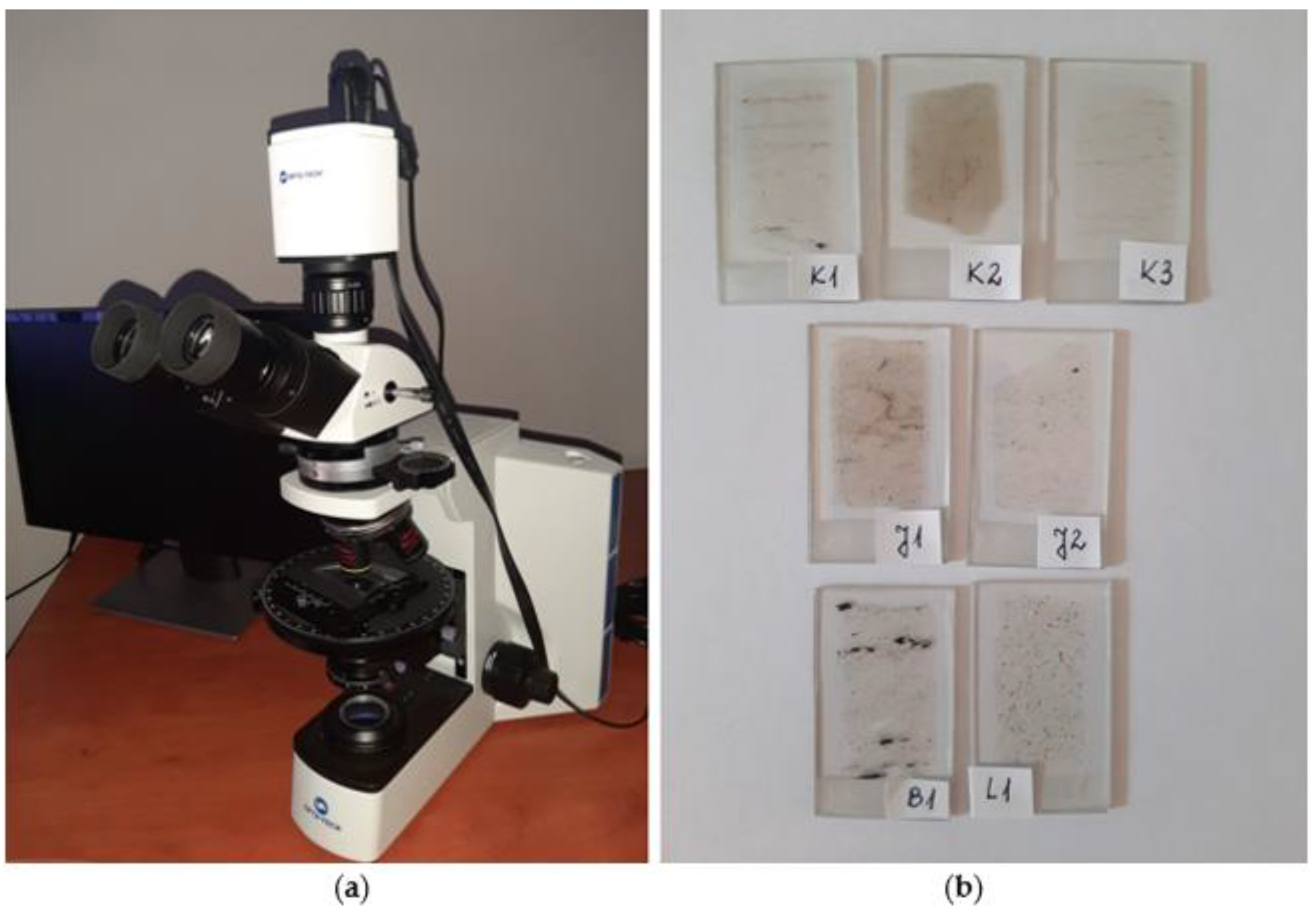 Energies 15 02692 g003