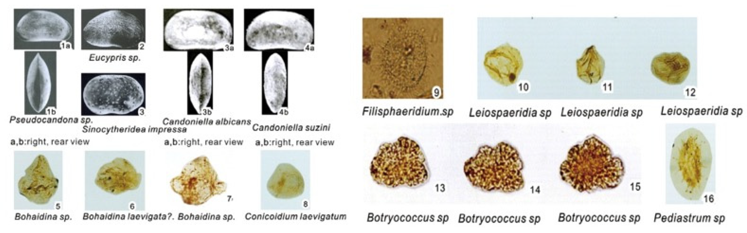 Energies 15 02870 g007