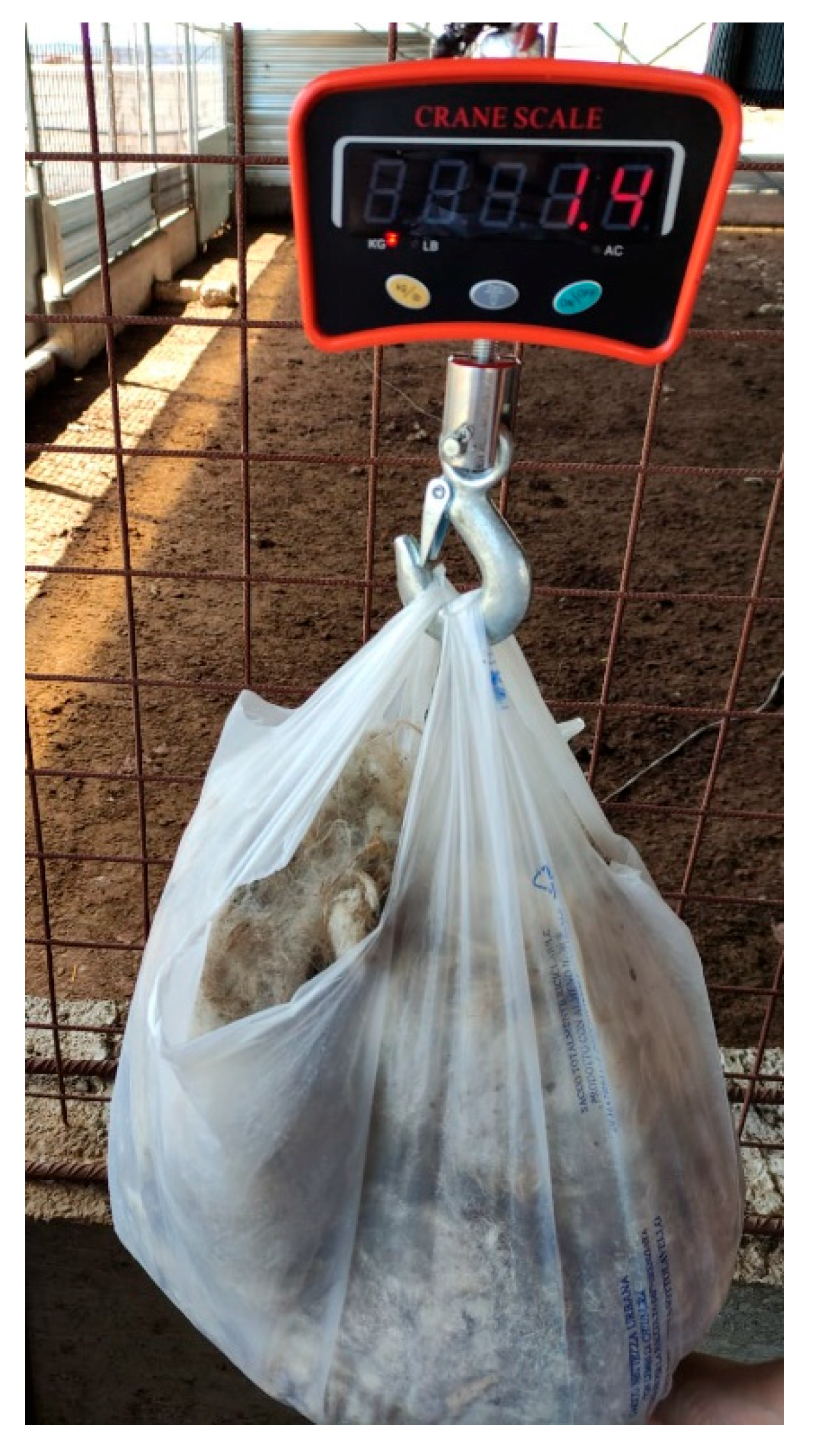 Energies 15 03008 g003