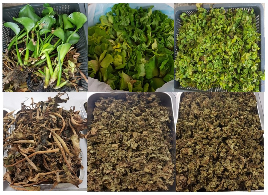 Energies 15 03075 g004