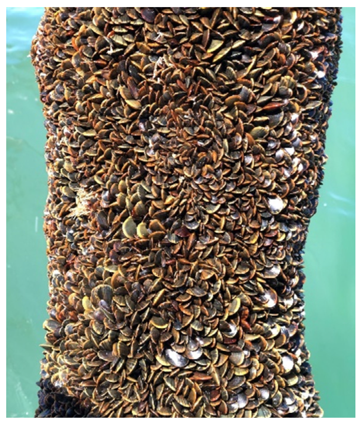 Energies 15 03087 g002 550