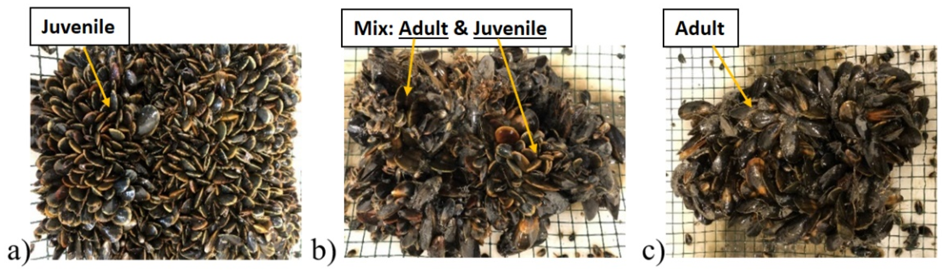 Energies 15 03087 g005 550