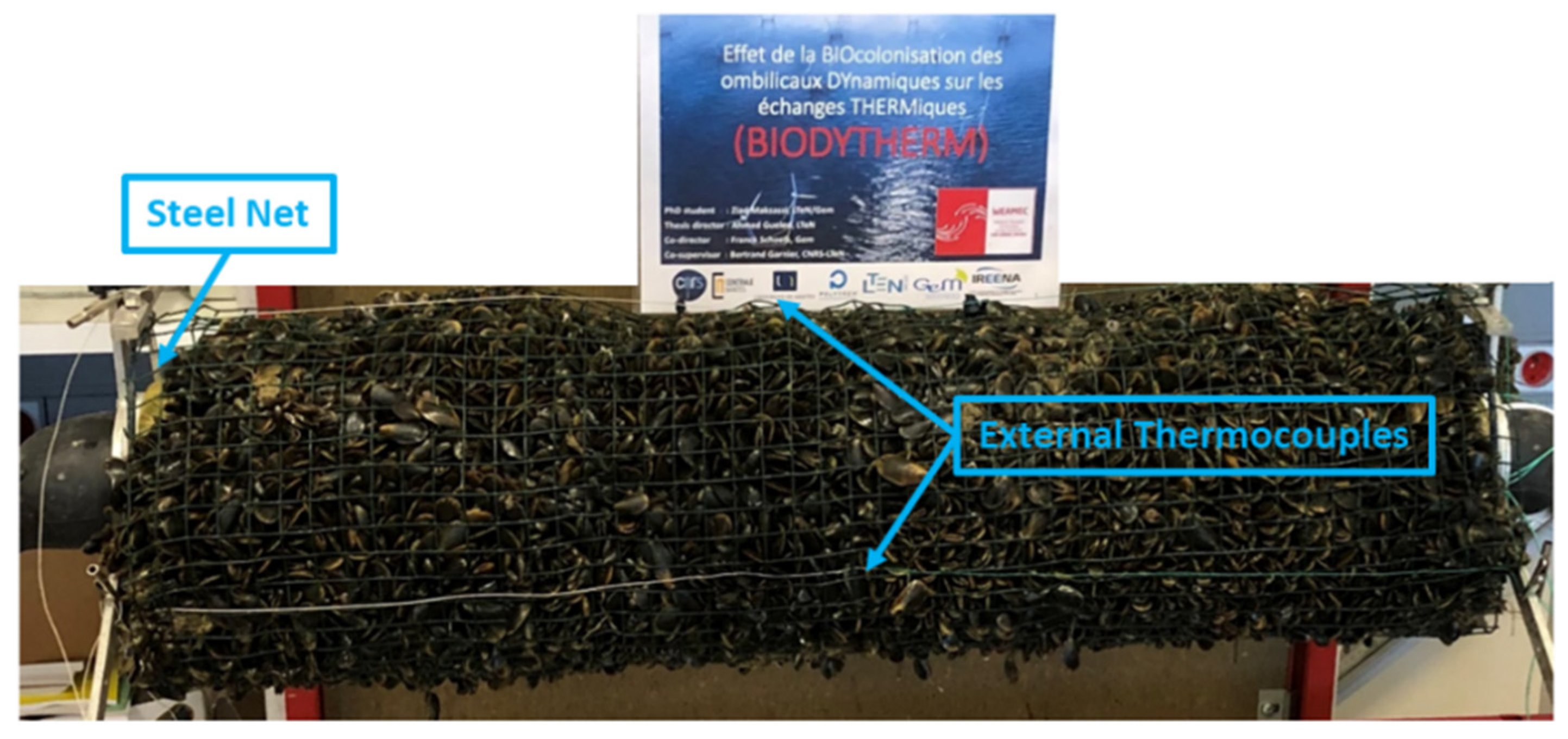 Energies 15 03087 g006 550