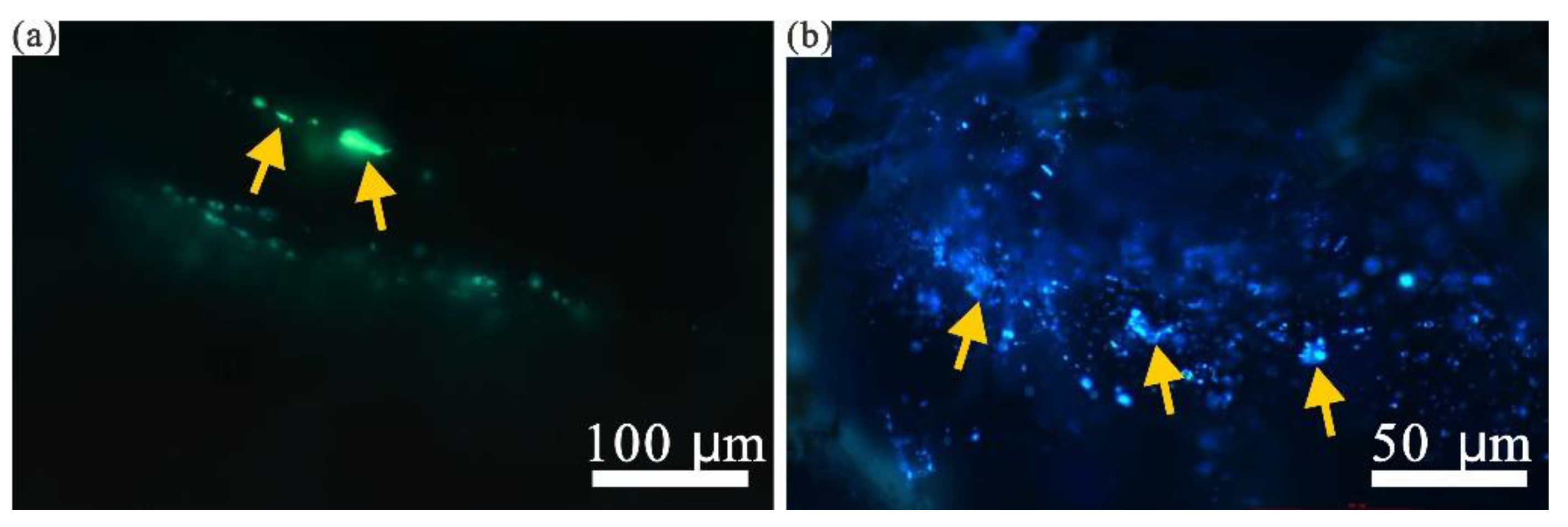 Energies 15 03135 g011 550