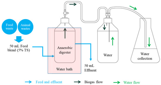 Biogas Production and Microbial Communities of Mesophilic and 