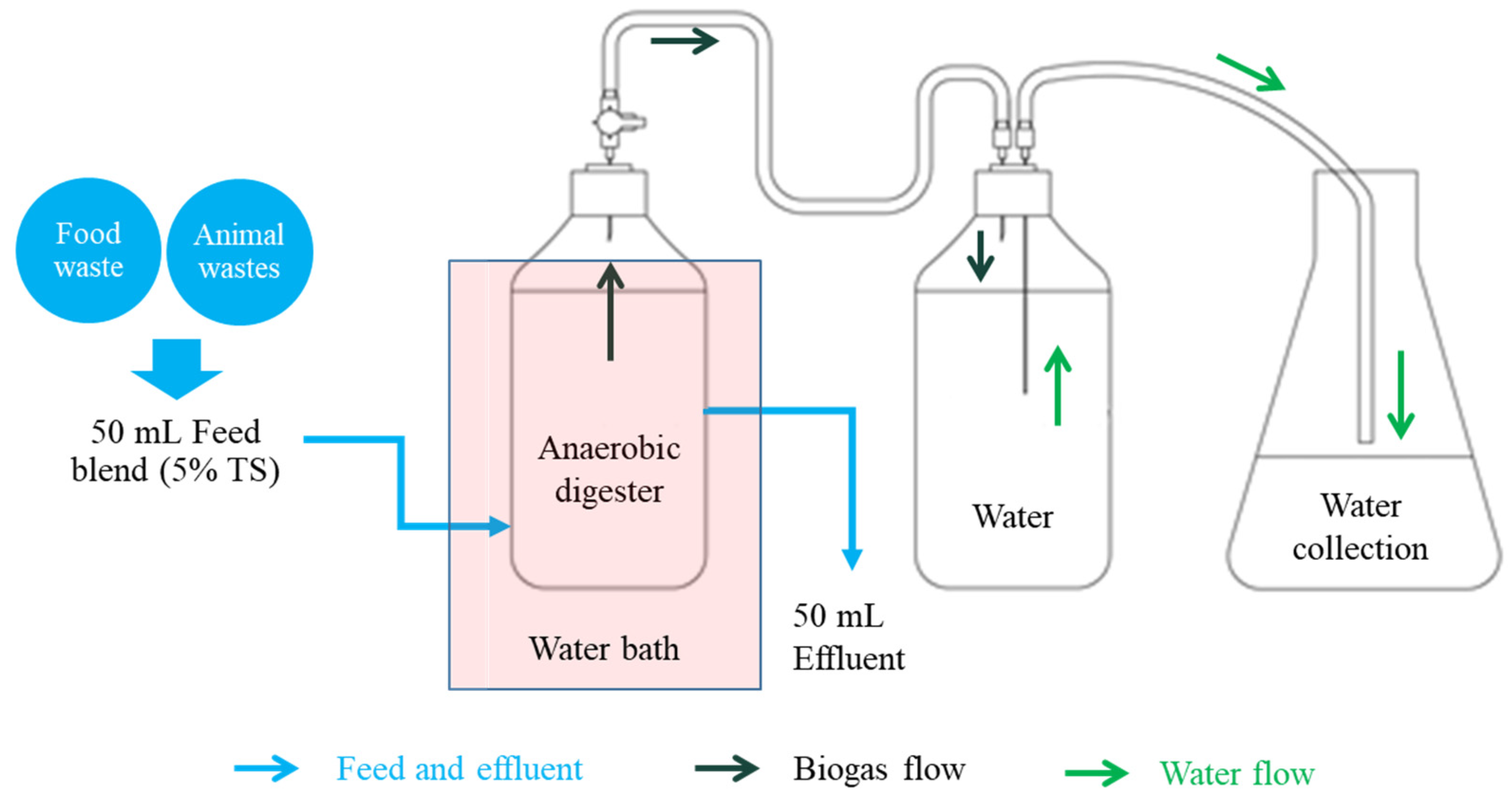 How organic overloads affect the anaerobic digesters microbiome