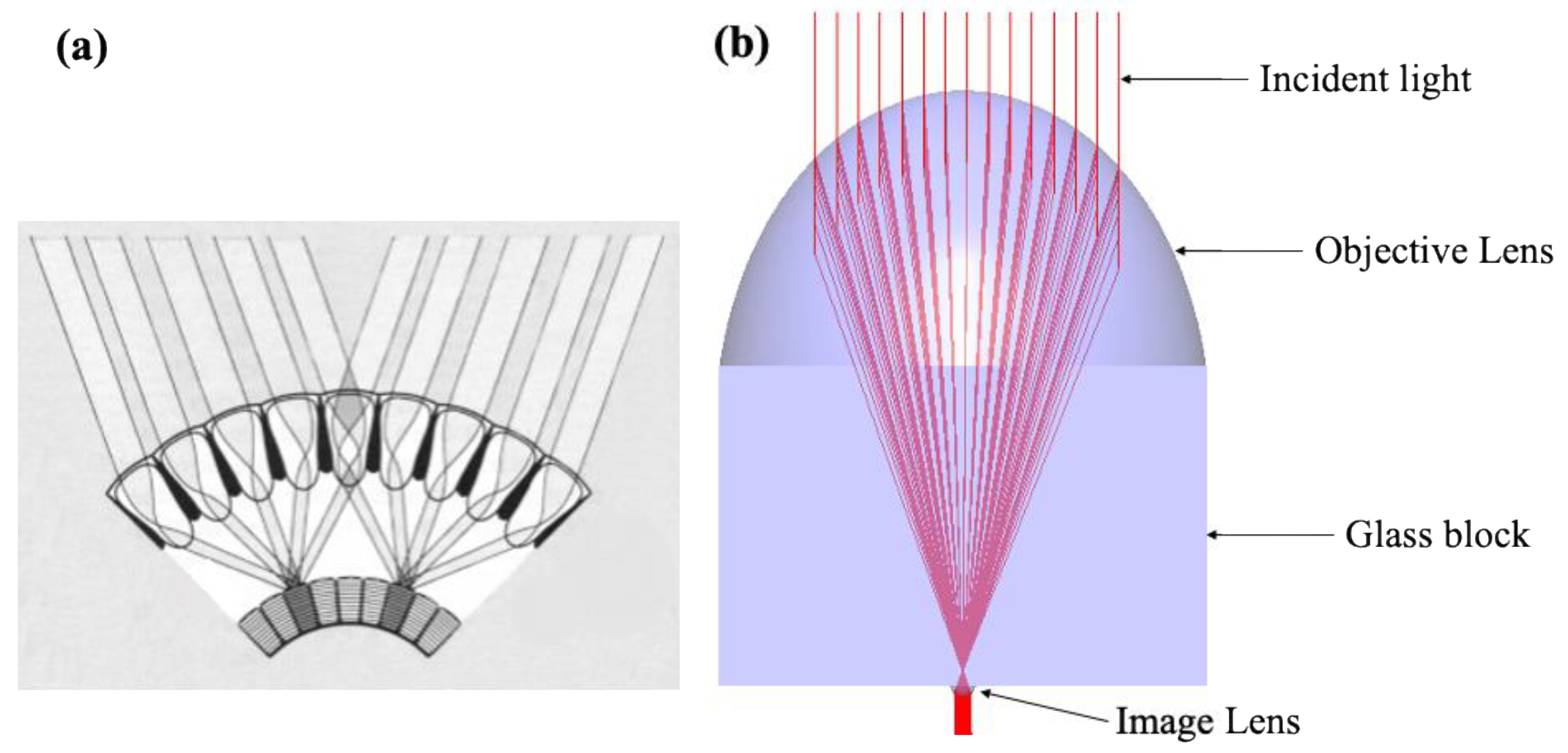 Energies 15 03406 g002