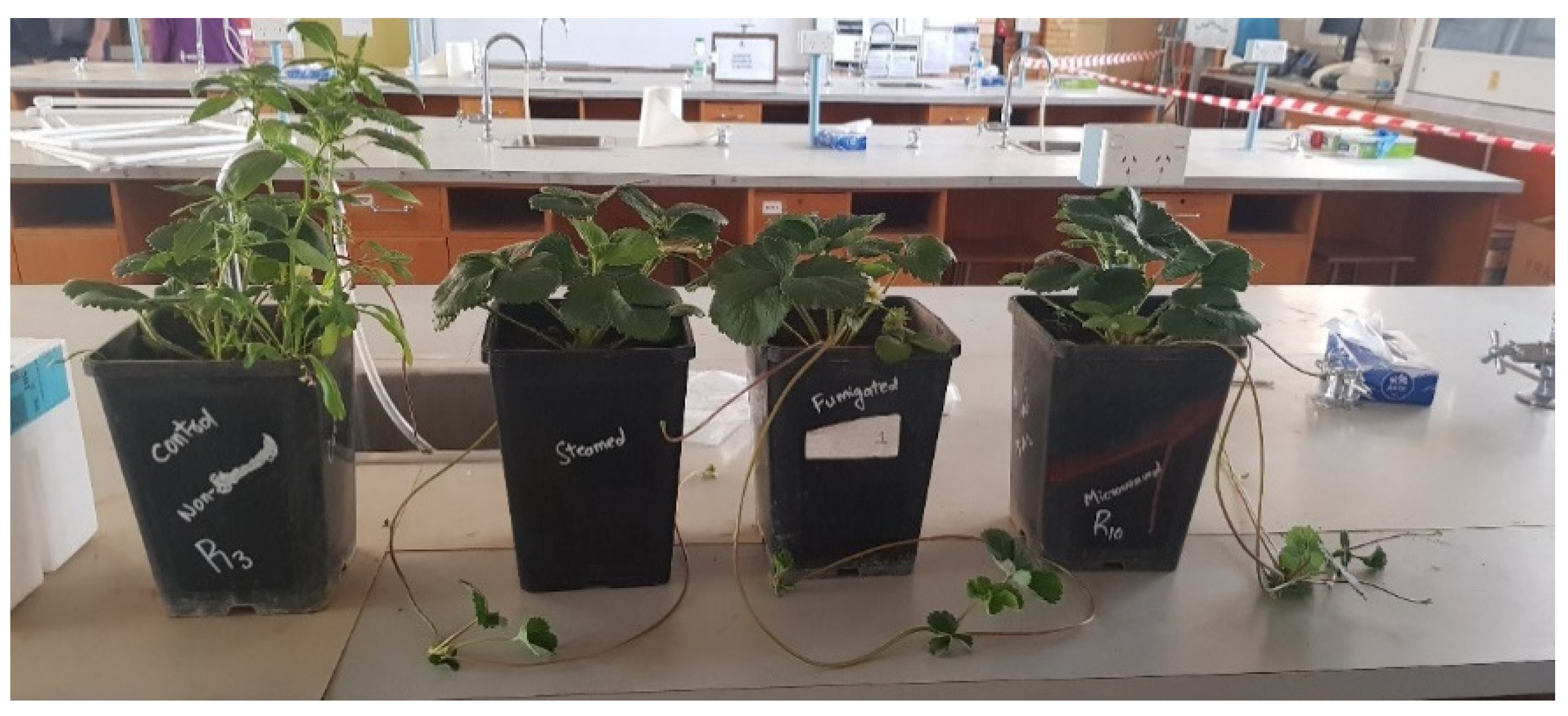 Energies 15 03508 g006 550