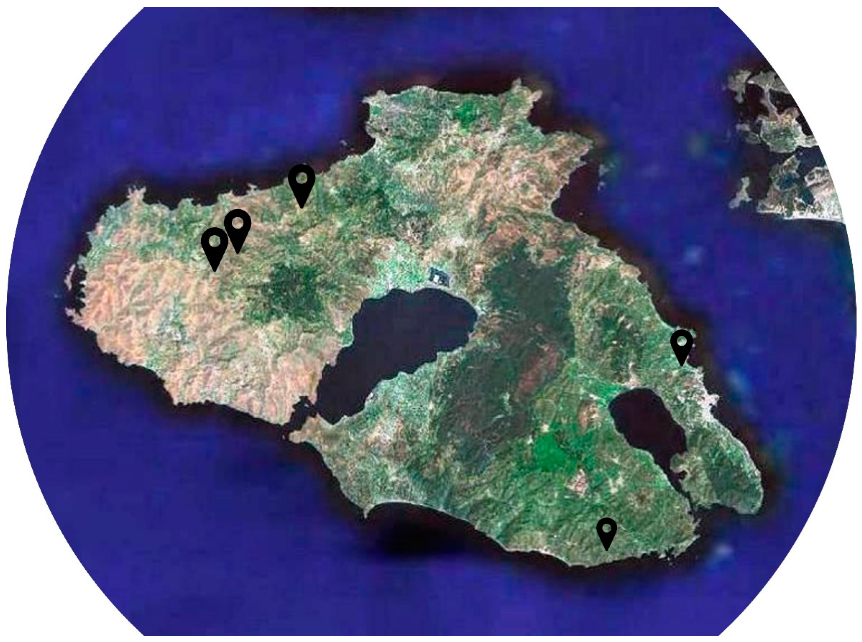 Energies 15 03574 g001 550