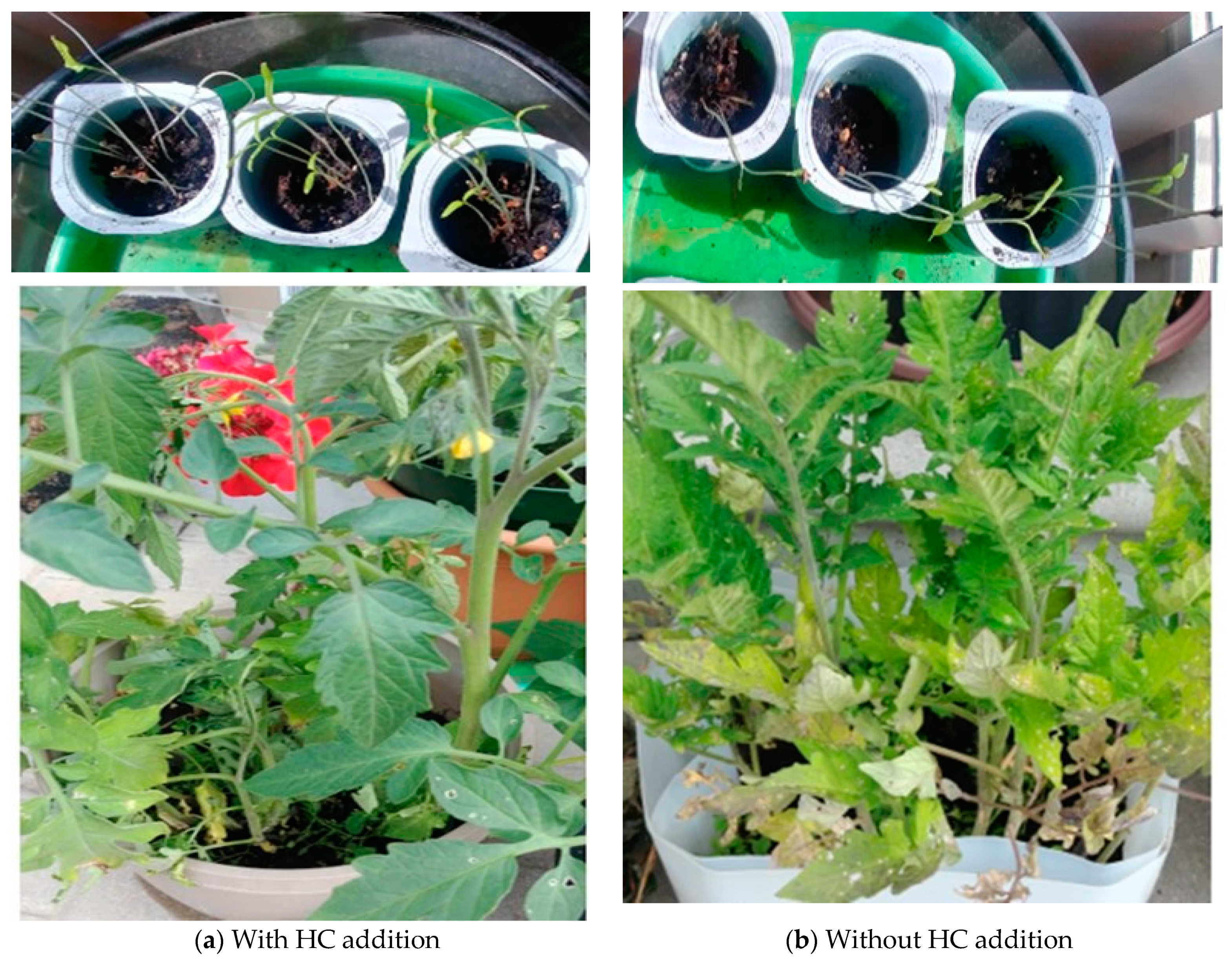 Energies 15 03663 g007 Energies 15 03663 g007