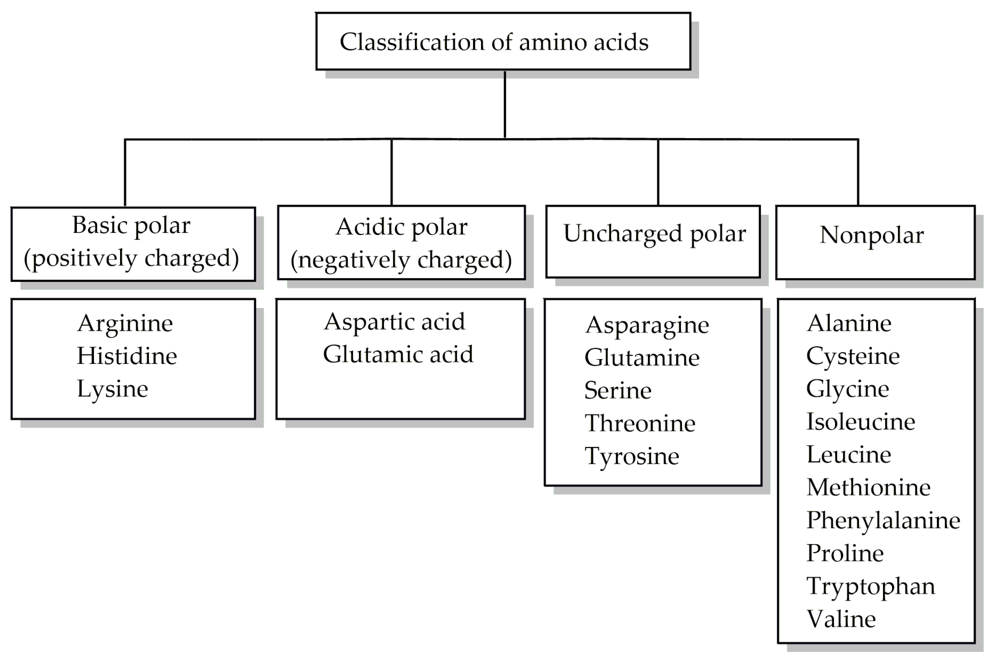 Energies Free FullText A Systematic Review of Amino AcidBased