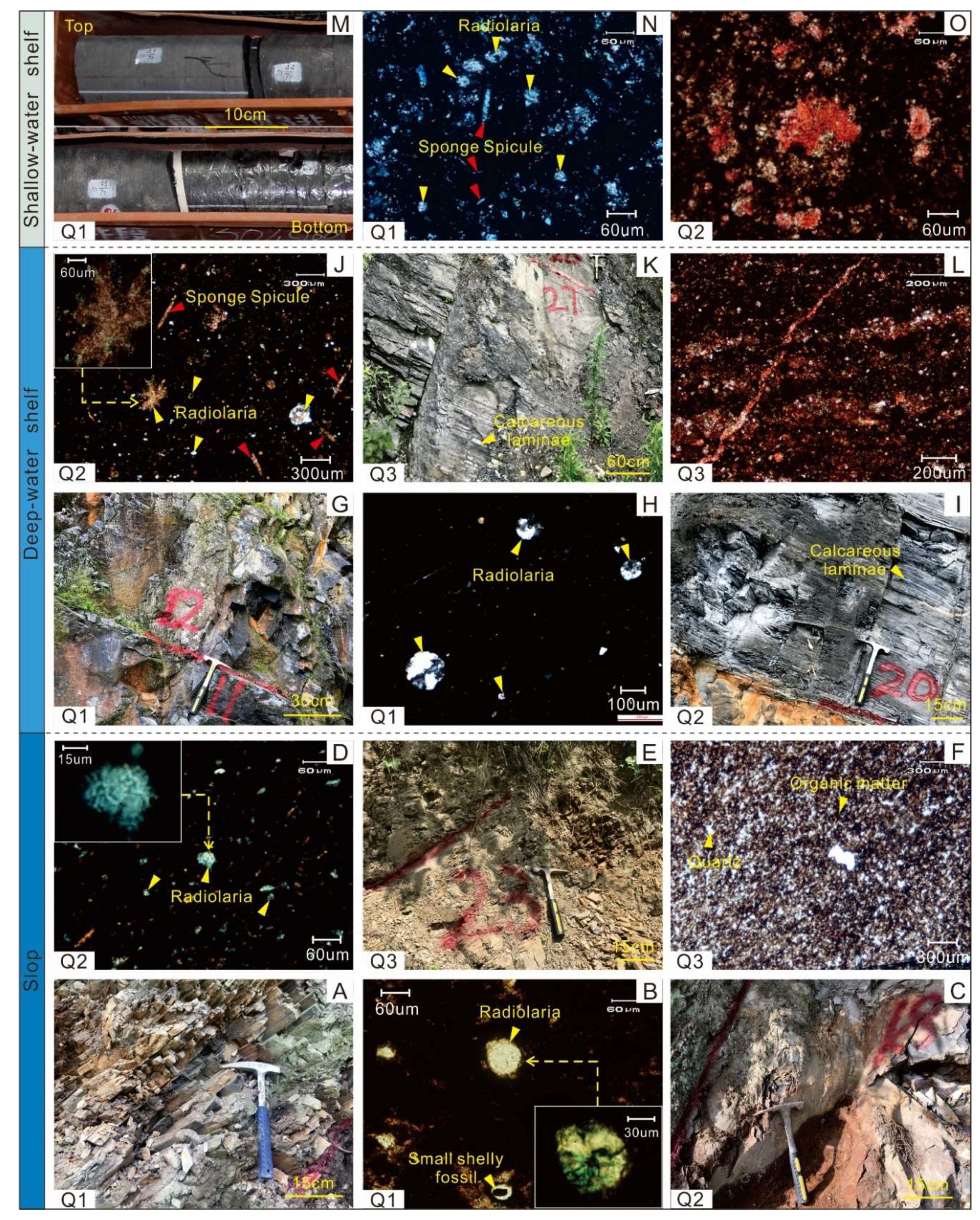 Energies 15 03761 g003