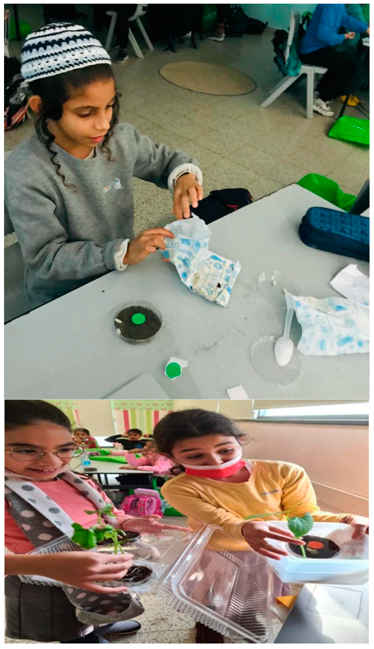 Energies 15 04226 g002