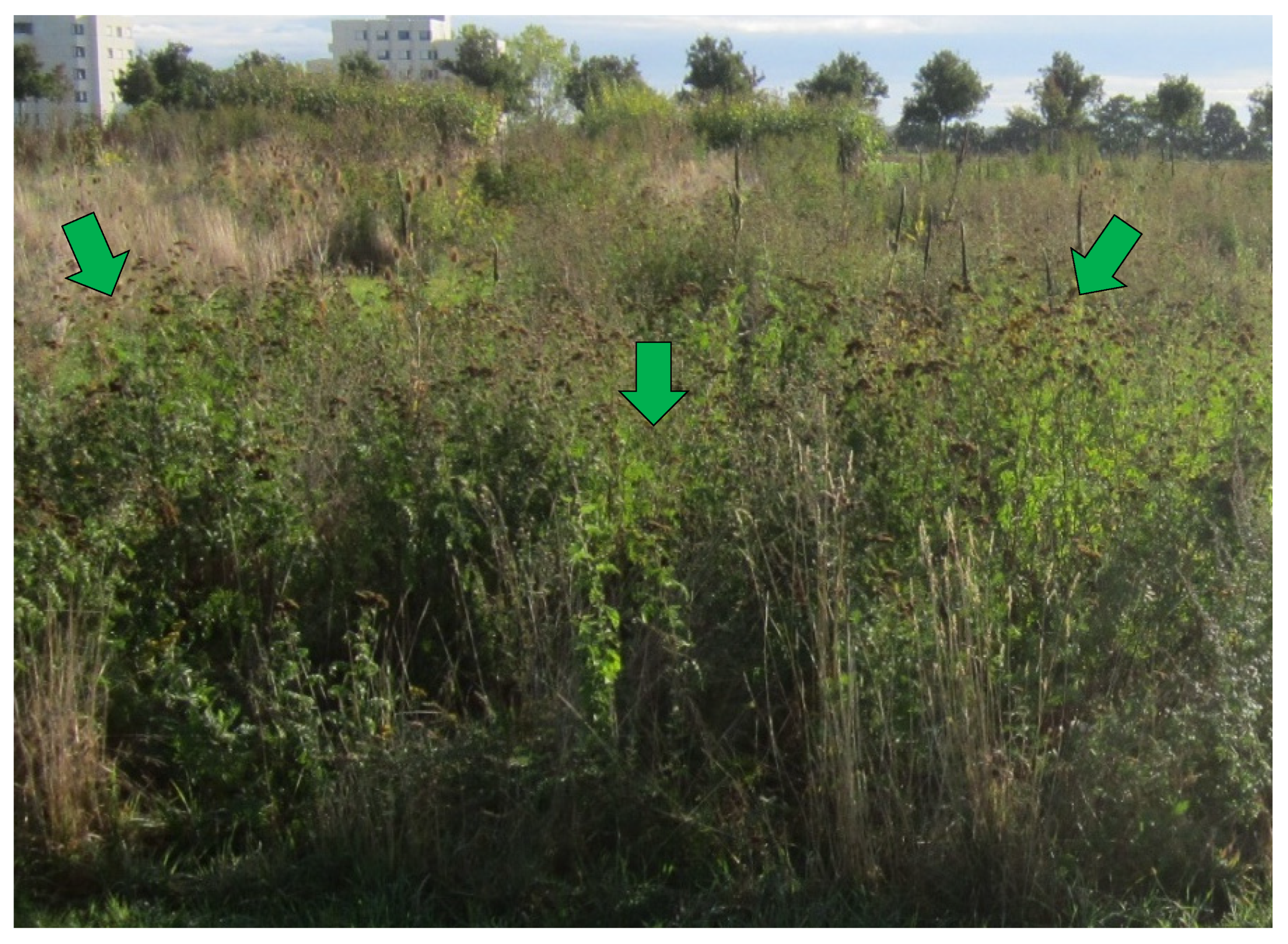 Energies 15 04380 g003 550