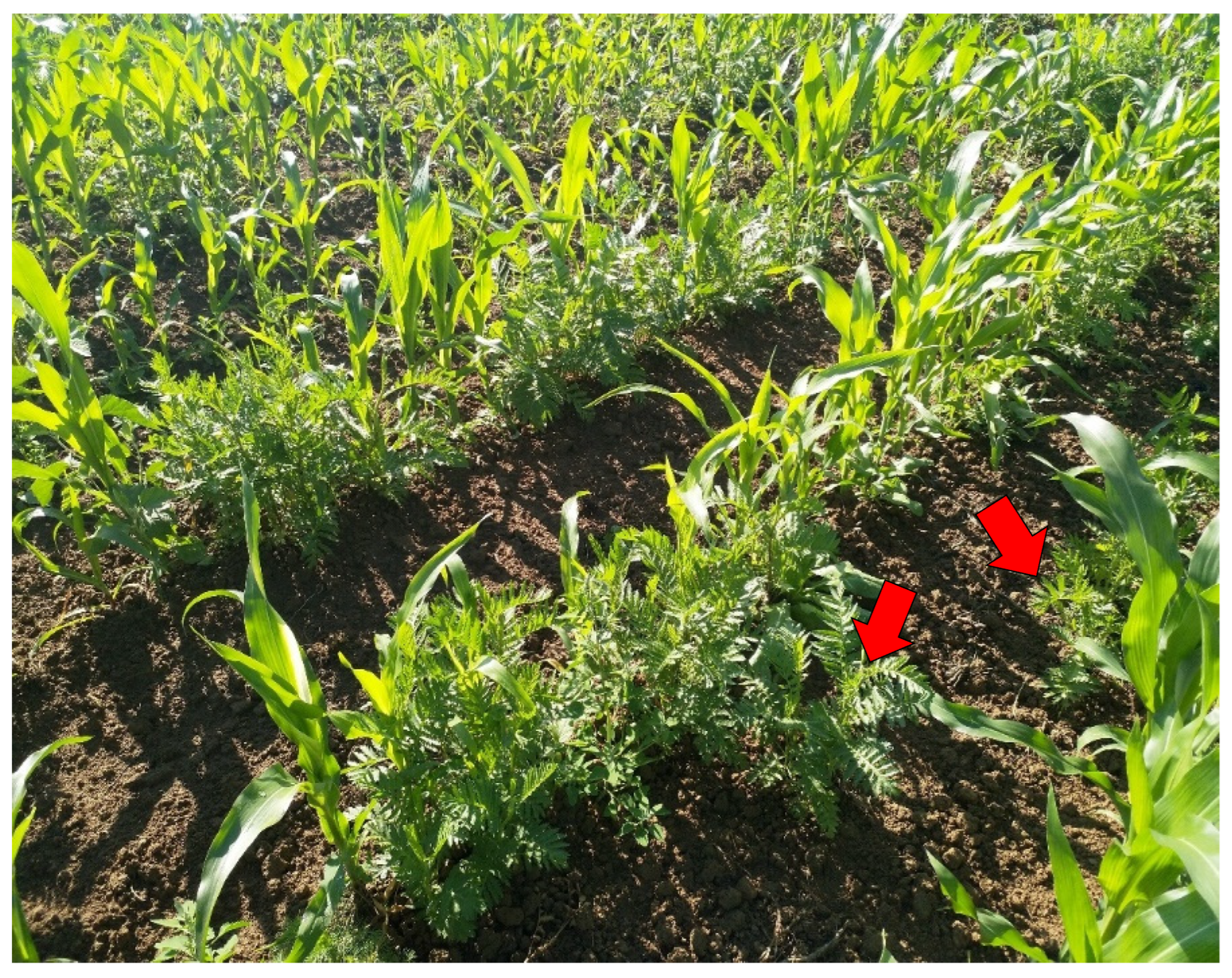 Energies 15 04380 g004 550