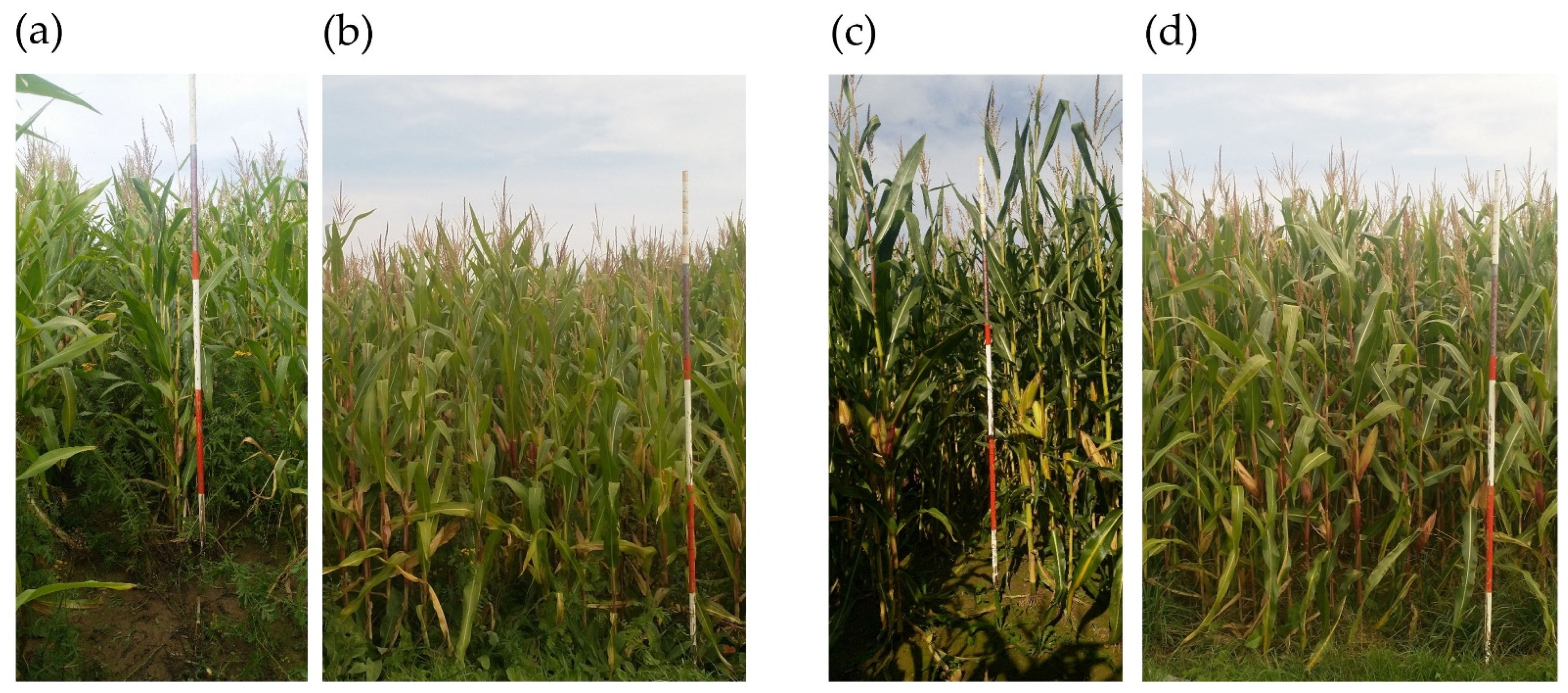 Energies 15 04380 g005 550