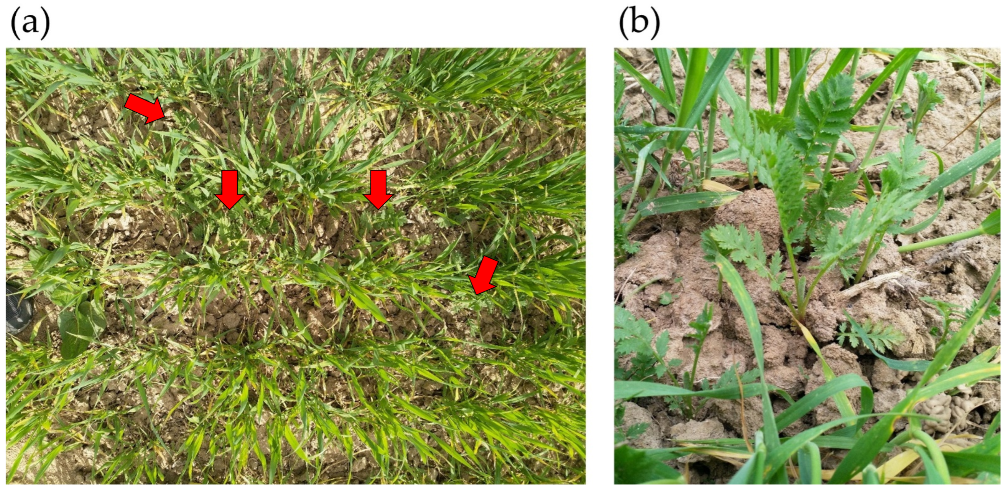 Energies 15 04380 g007 550