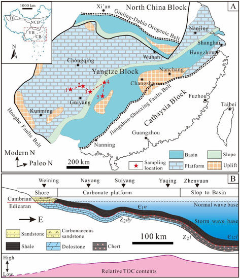 Depositional Environment and Organic Matter Enrichment of