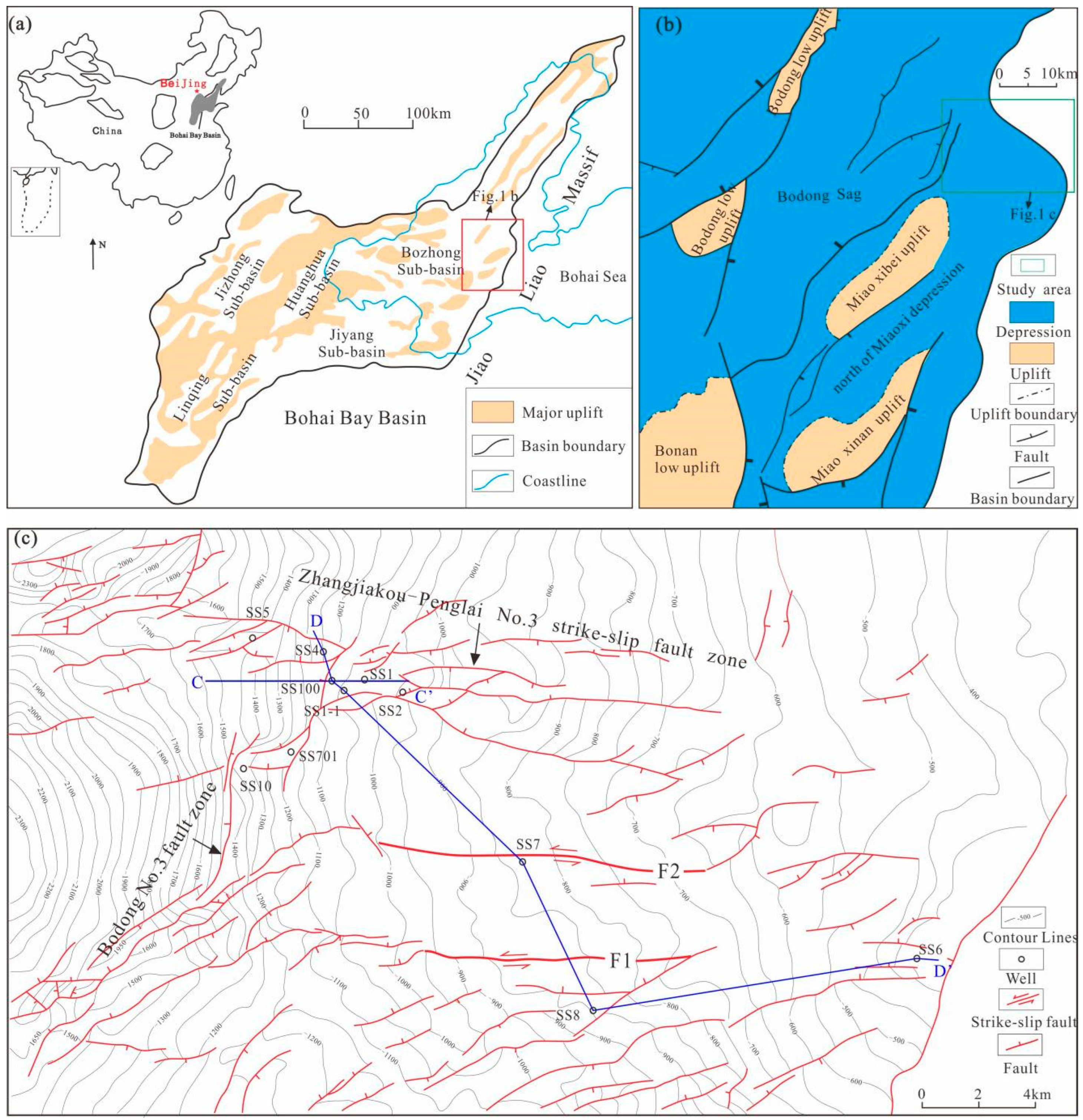 Sedimentary Characteristics of the Neogene in the Eastern